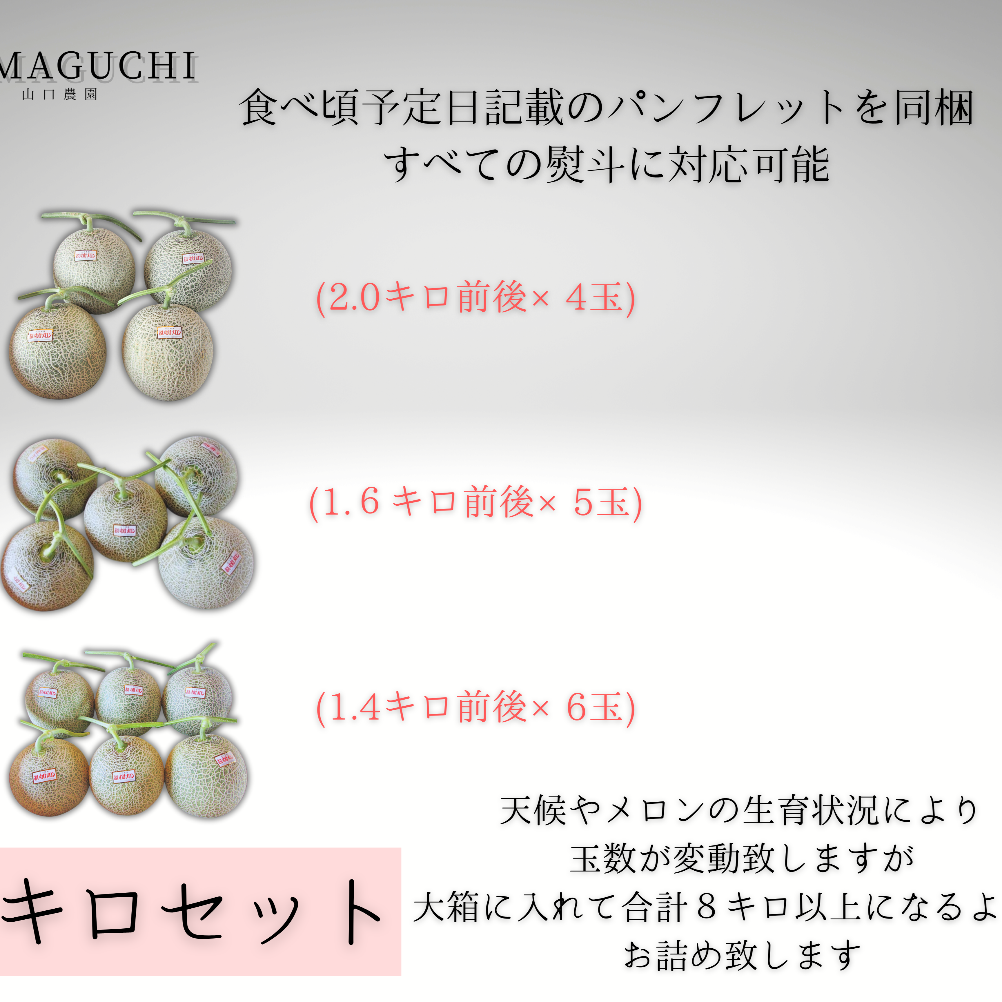 ギフト専門農家から【北海道メロン】 大箱 8キロ ｜ 果物/メロン 産直