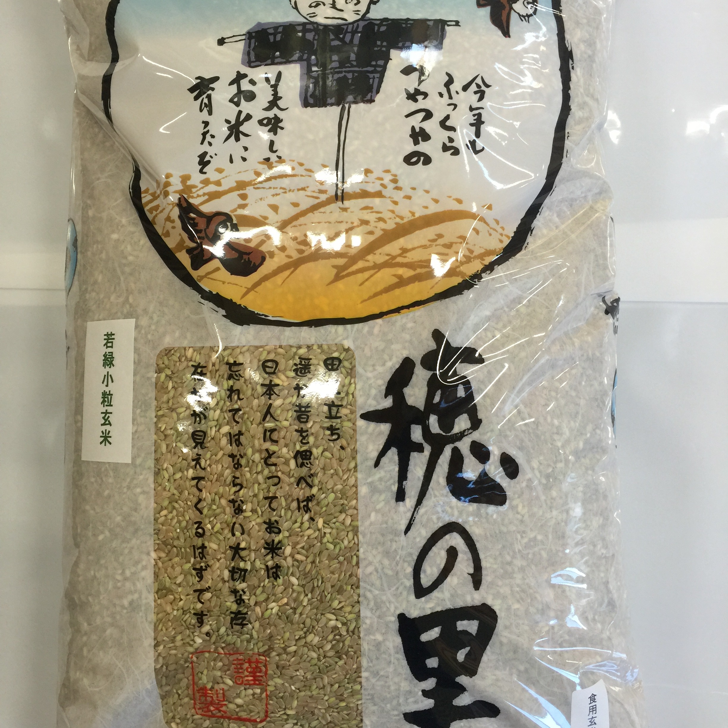 令和7年産 新米 若玄米 緑玄米 コシヒカリ 5kg ｜ 米・穀物/玄米 産直