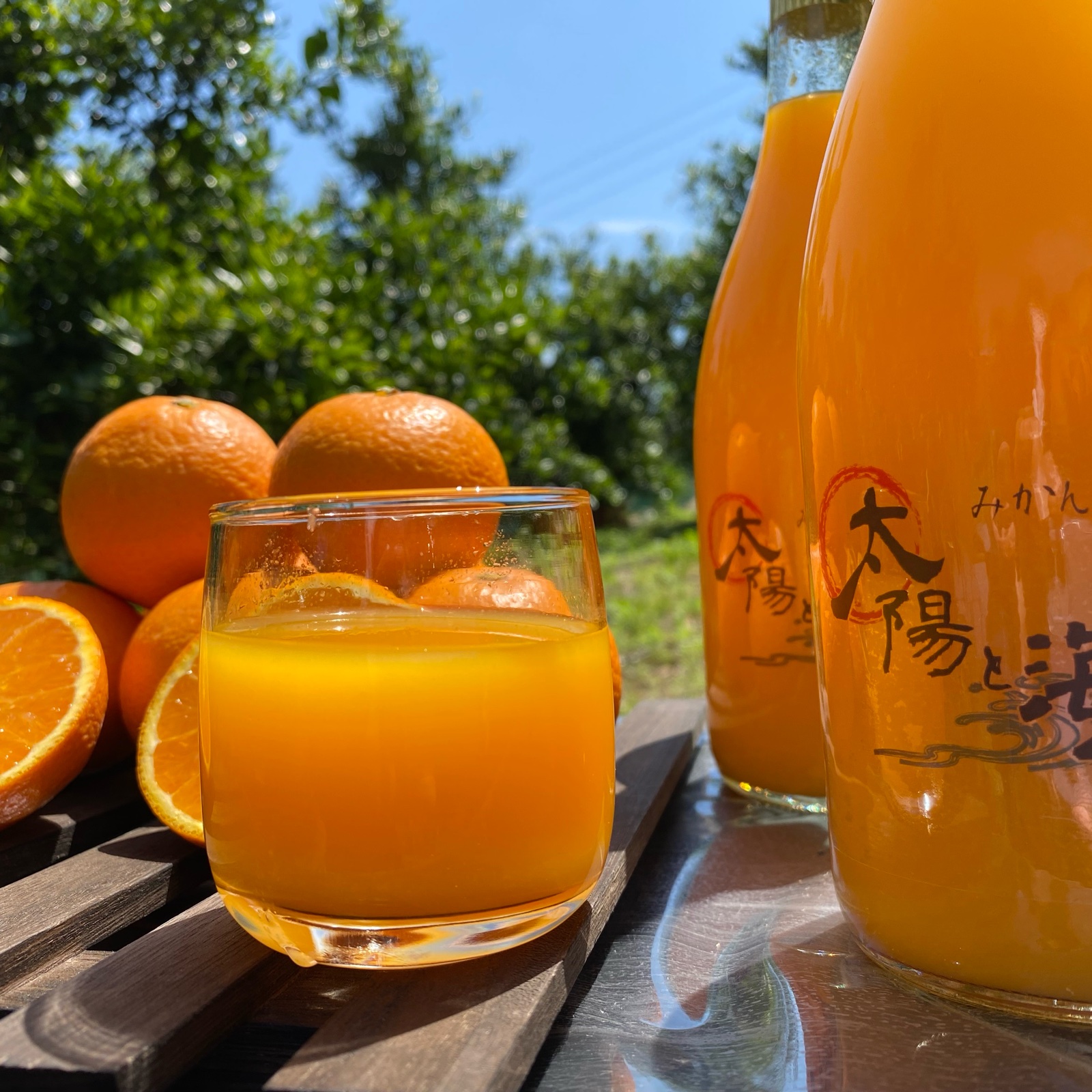 太陽と海🍊オリジナルブレンドジュース🥤（720ml×2） ｜ 飲料/ジュース