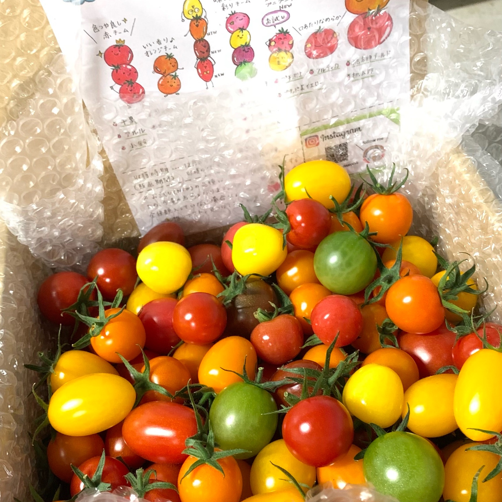 トマトBOX2kg | 野菜/トマト 産直アウル 農家から直接野菜などの