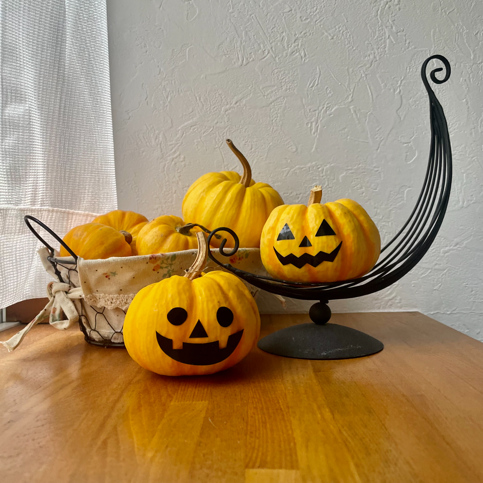 ハロウィンパーティーセット付き】プッチィーニ8個かぼちゃセット