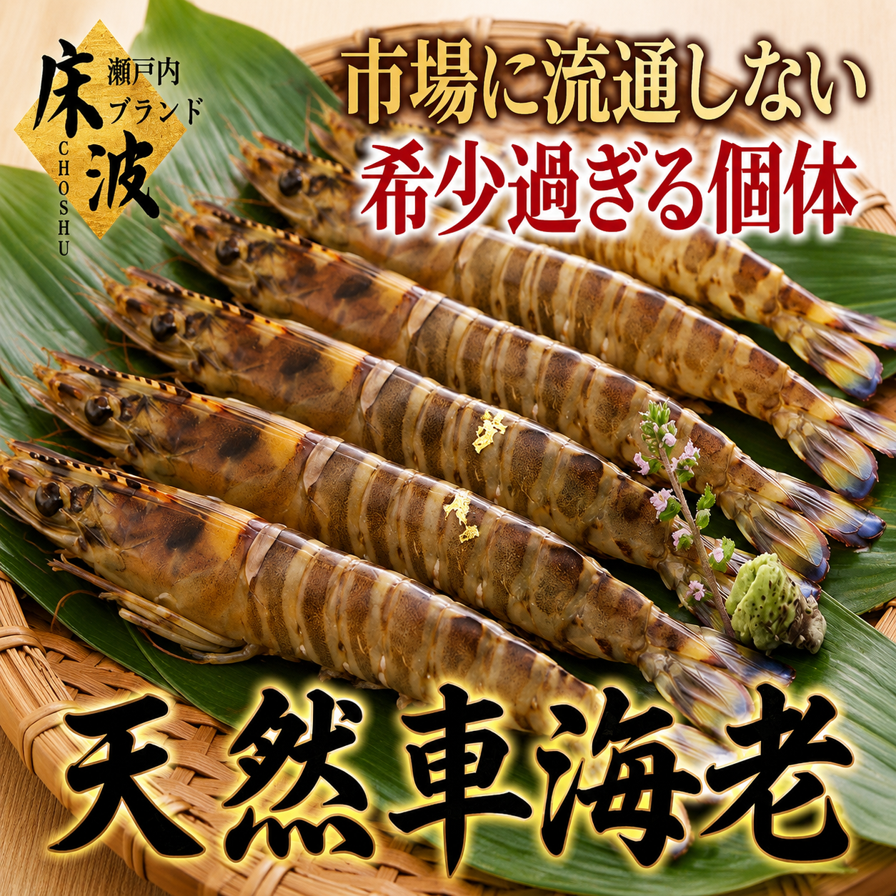 幻の天然個体】養殖では辿り着けない希少水揚げ『天然国産車エビ』長州