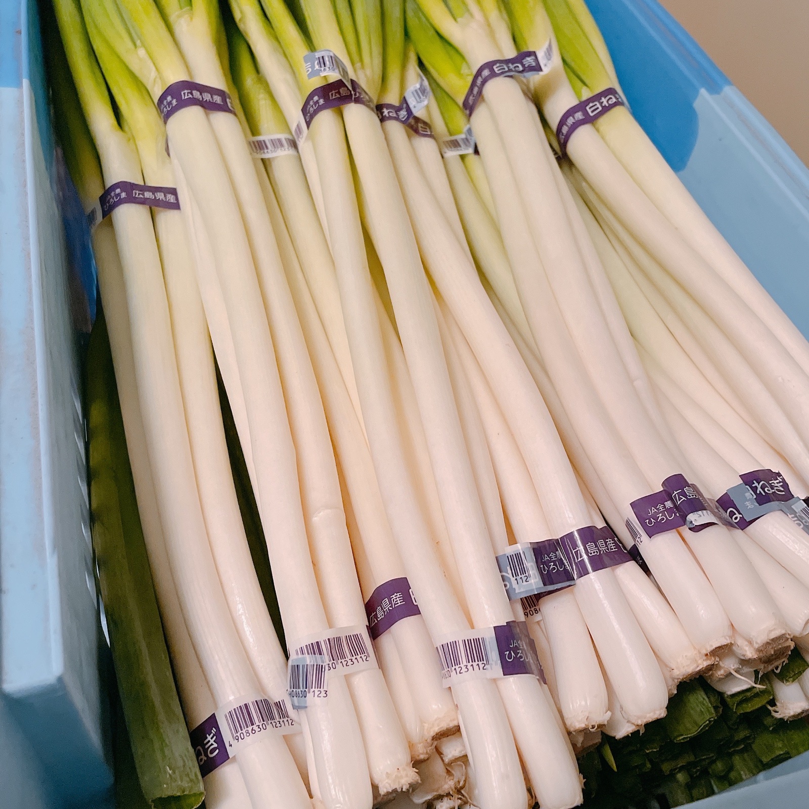 池ちゃん農園訳あり白ネギ2.0kg（25〜30本） ｜ 野菜/ねぎ 産直アウル