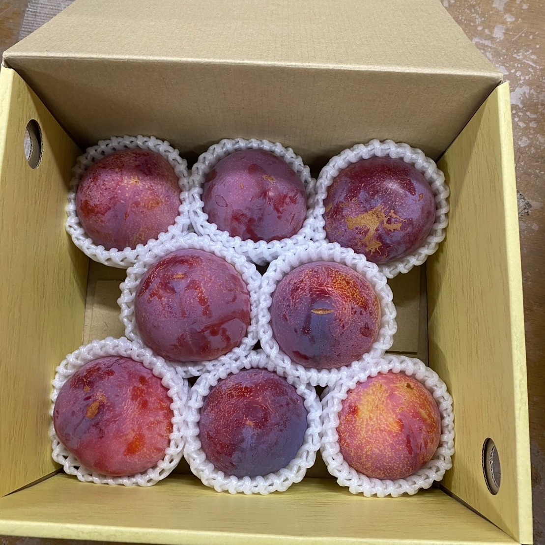 山梨県産 すもも貴陽 1kg 冷蔵配送 ｜ 果物/すもも・プラム 産直アウル