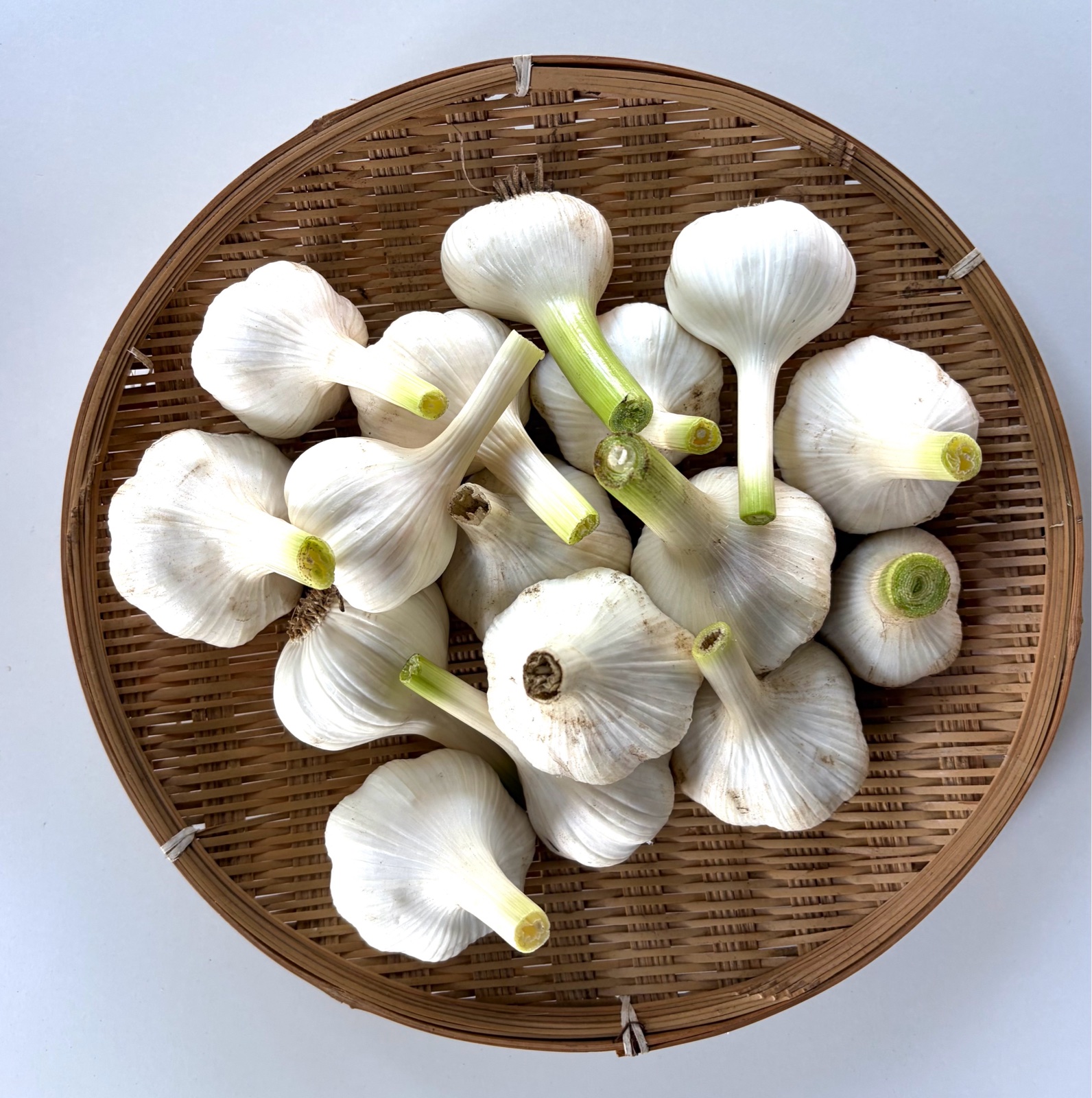 平戸ニンニク】生ニンニク 1kg ｜ 野菜/にんにく 産直アウル 農家
