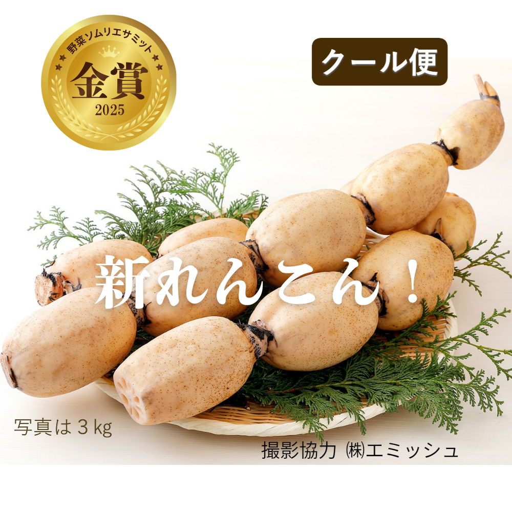 土浦レンコン1.7キロ　クール便のみ7月から すずき蓮根農園（茨城県・土浦市）｜生産者詳細｜産直アウル