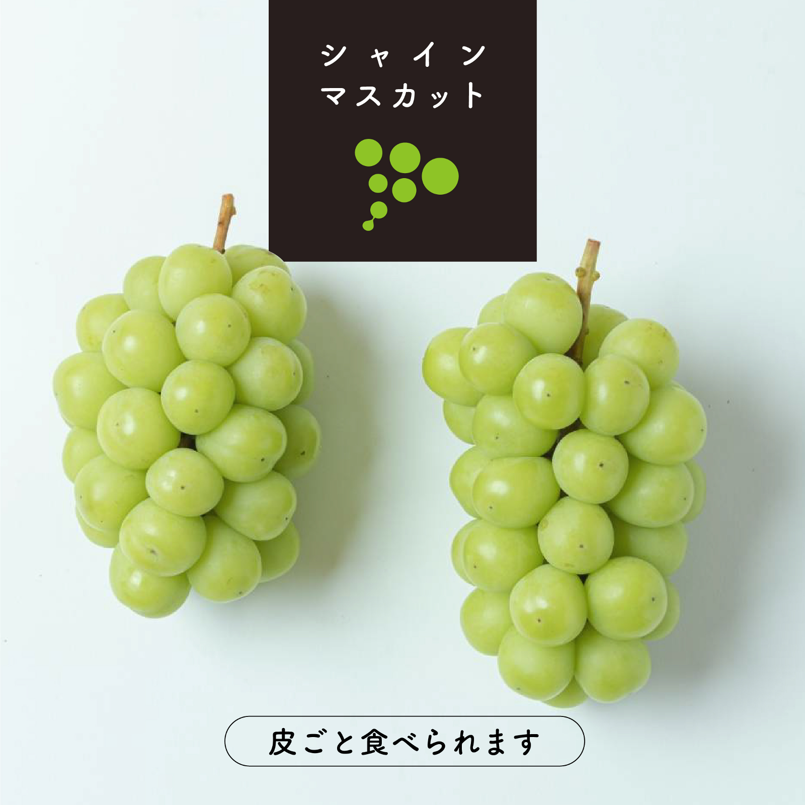 シャインマスカット堪能バージョン | 果物/ぶどう 産直アウル 
