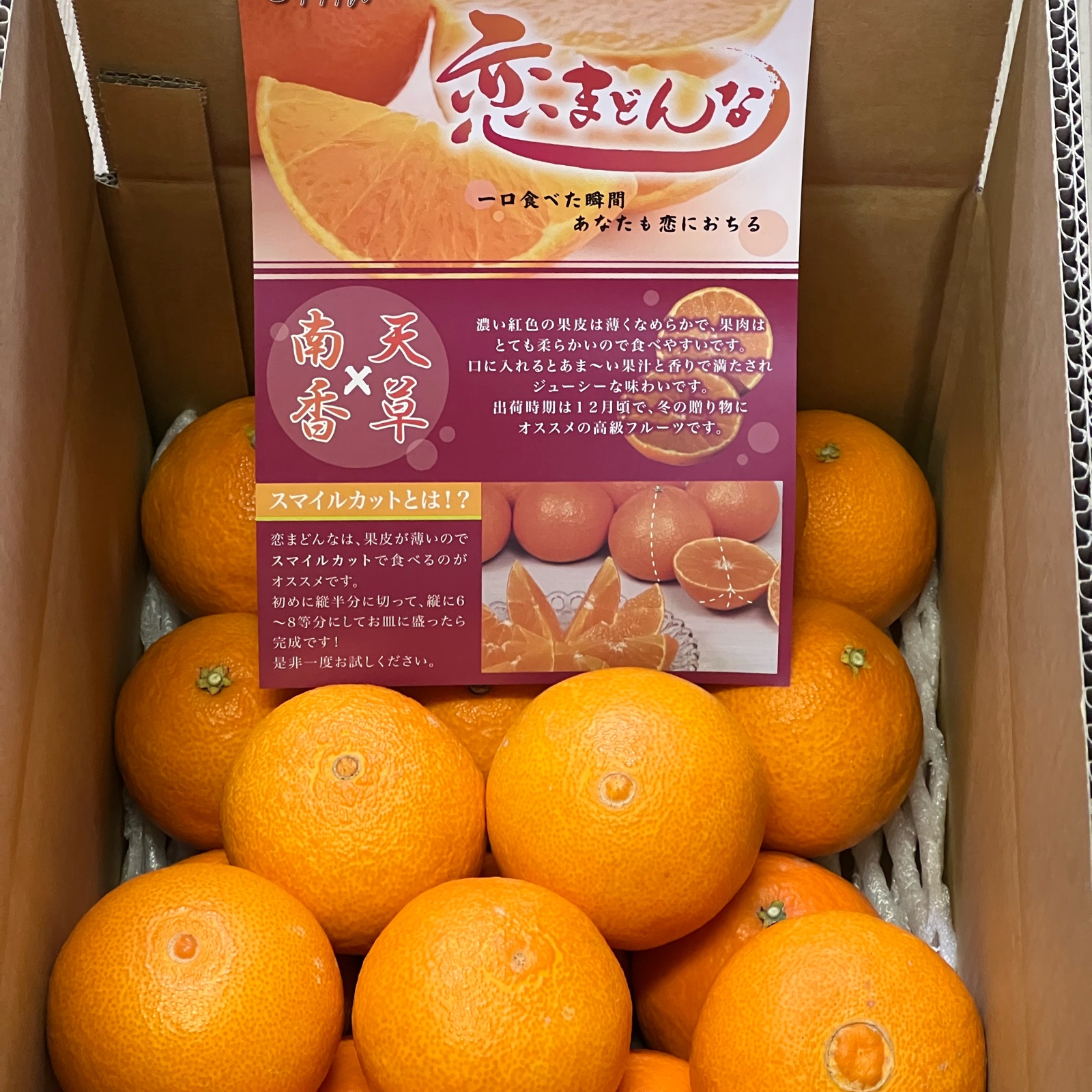 1月2日まで！ご家庭用 ハウス栽培愛媛果試第28号（紅まどんな）10kg