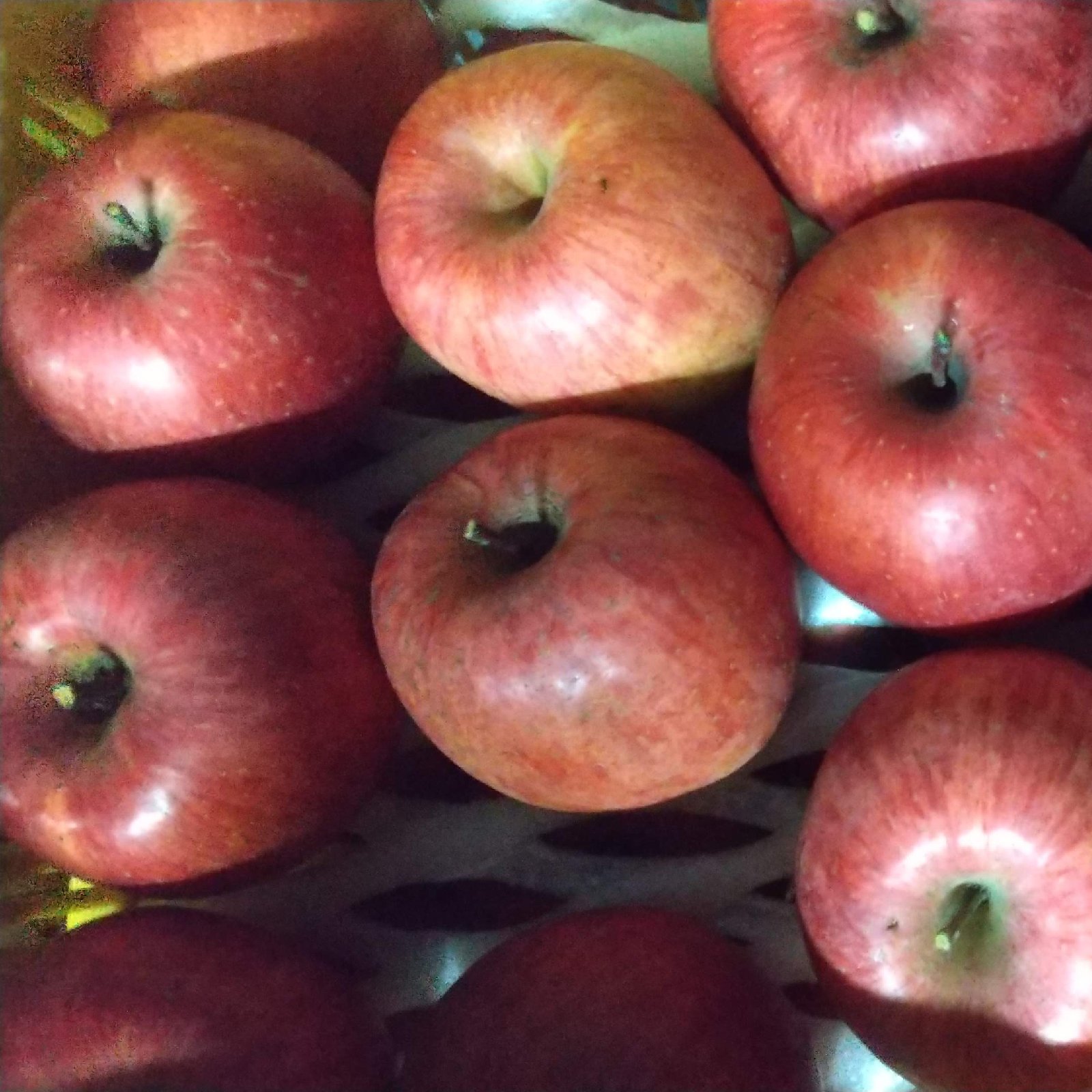 山﨑りんご農園（長野県・麻績村）｜生産者詳細｜産直アウル