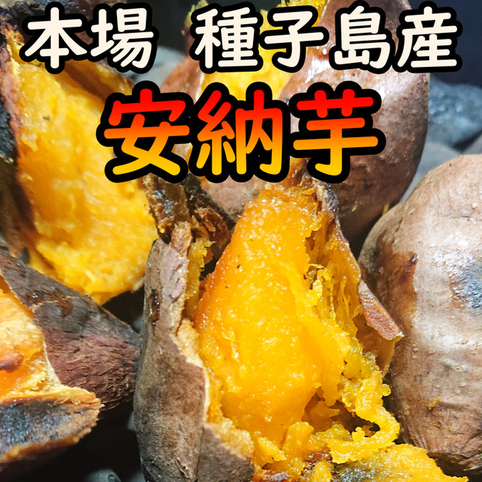 本場種子島産】完熟！ねっとり！安納芋紅訳アリ品（SMLサイズ混合） 20