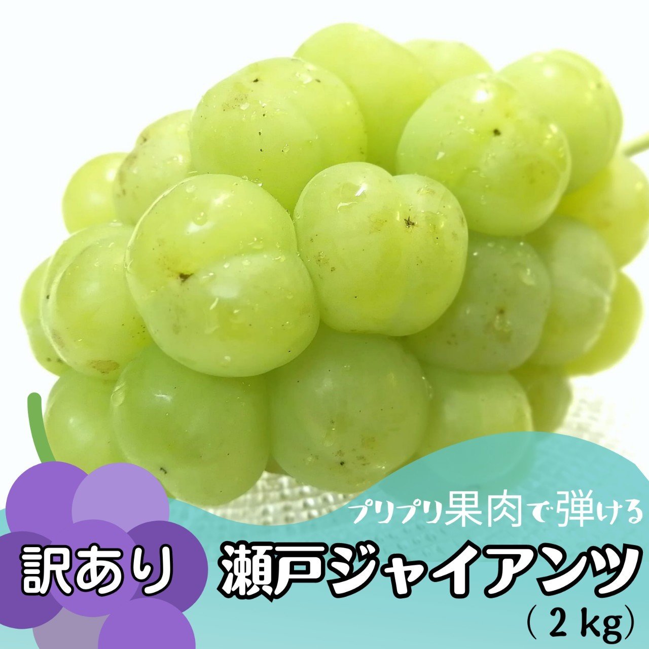 瀬戸ジャイアンツ2房（農家直送） 訳有り】瀬戸ジャイアンツ2kg ｜ 果物/ぶどう 産直アウル 農家・漁師