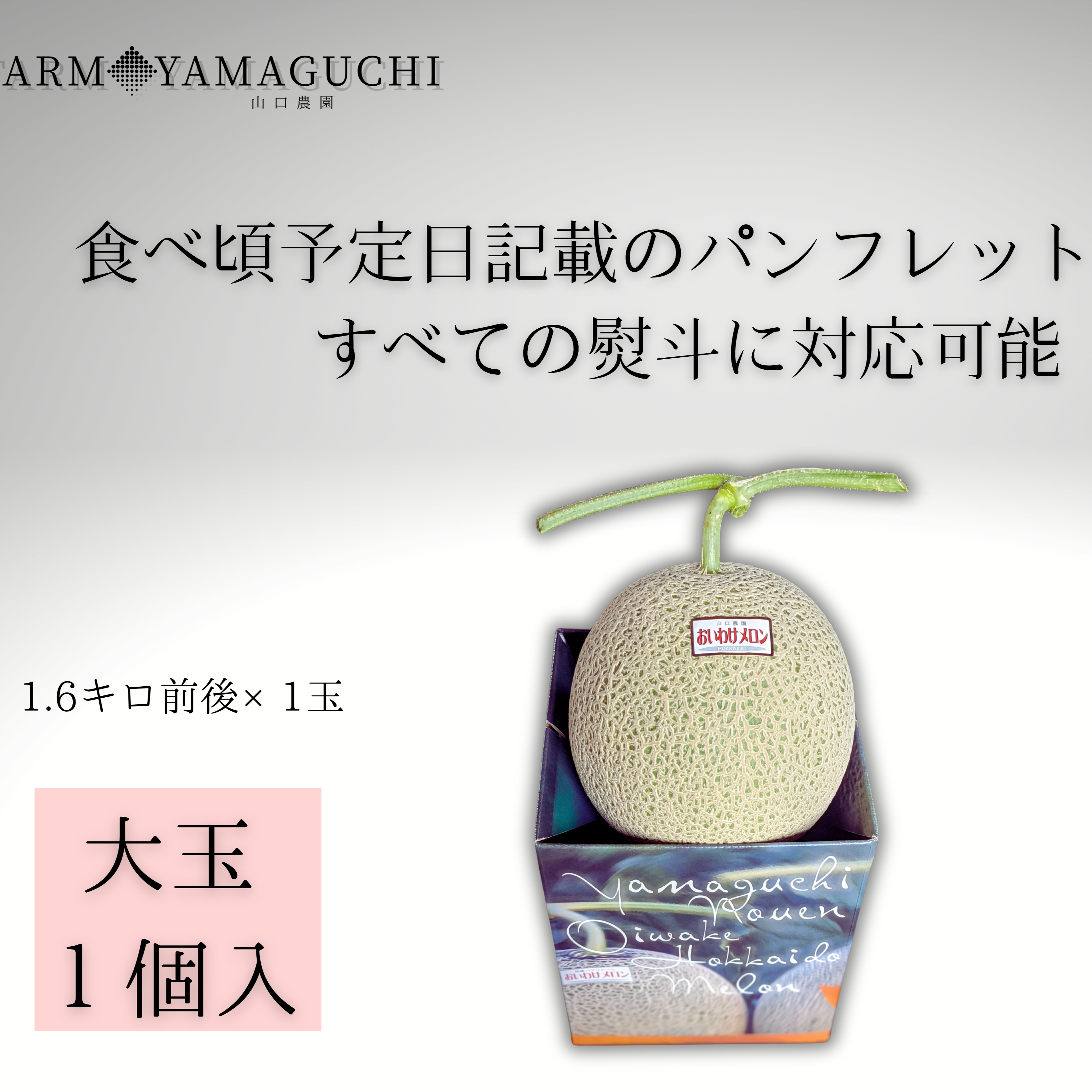 ギフトに大人気 【北海道メロン】 1玉入り 大玉 ｜ 果物/メロン 産直