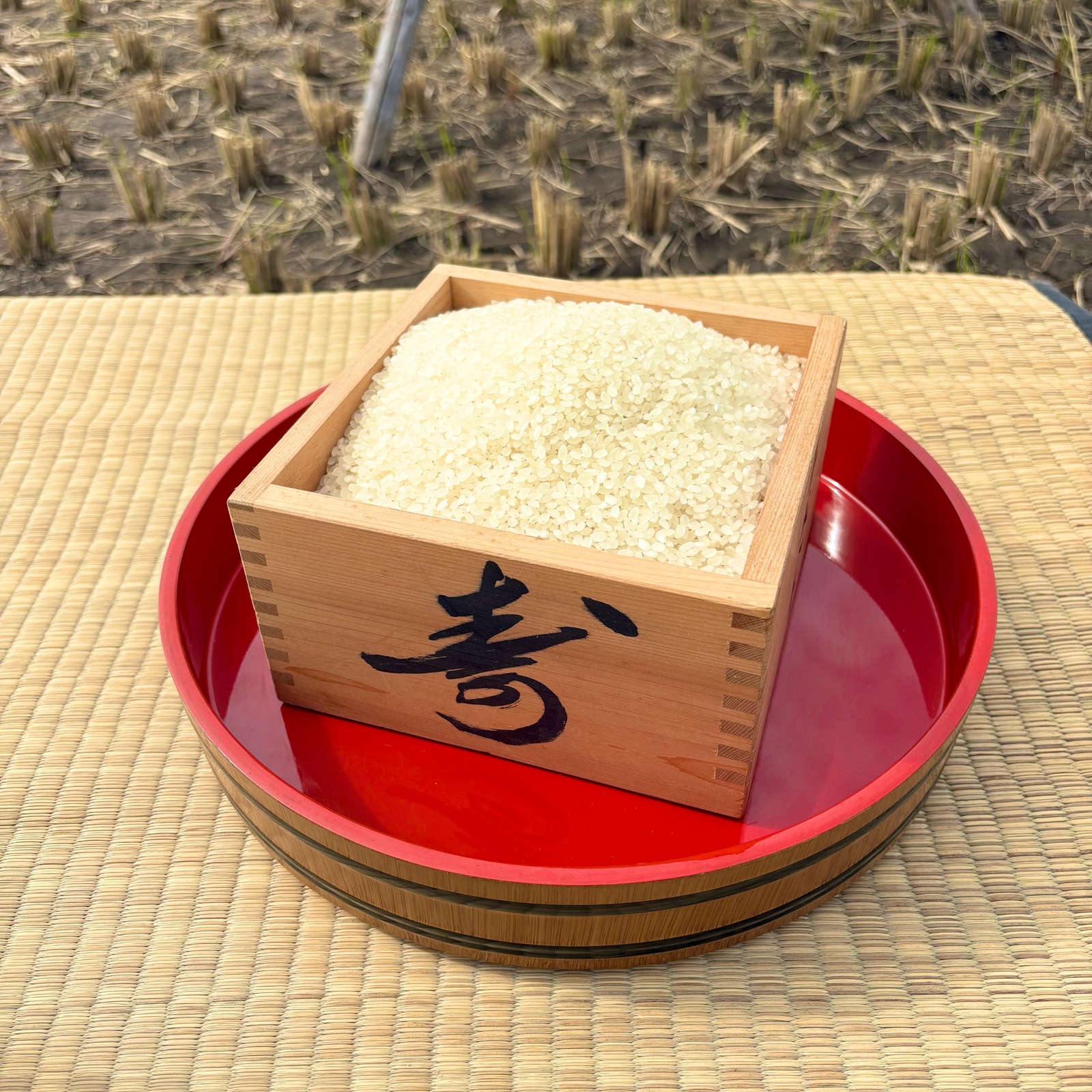 令和7年産 はぜ掛け米コシヒカリ ｜ 米・穀物/米/精米 産直アウル 農家