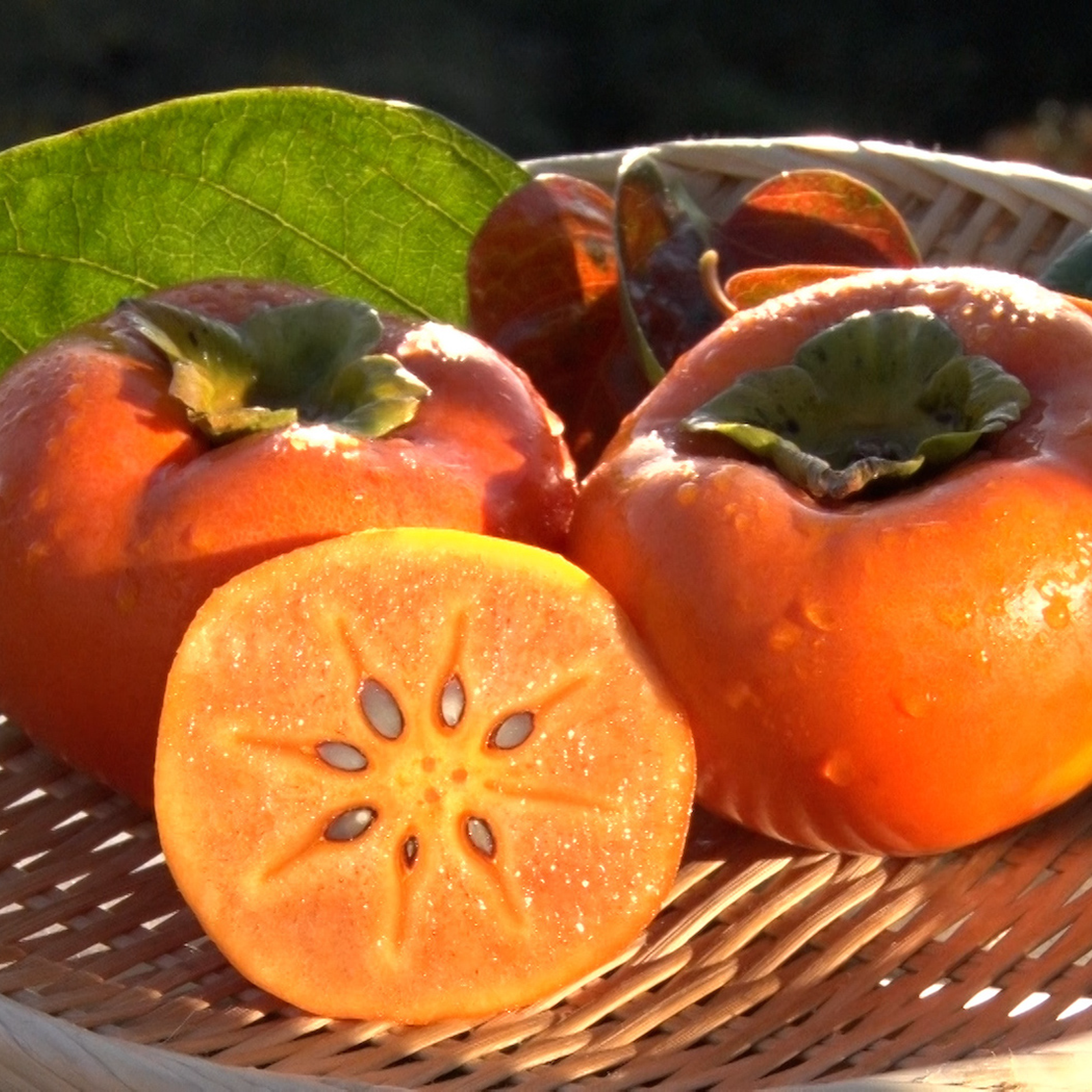 新鮮な柿 大量 DayDay出演】最高糖度20度超え幻の巨大柿『エンペラー柿』一般市場に