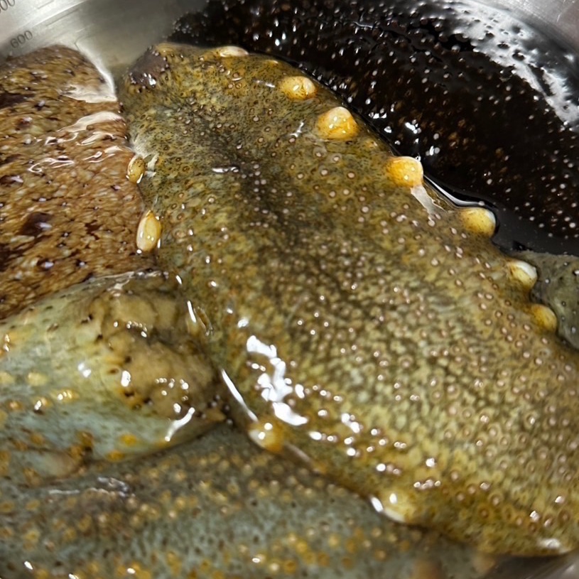 60c4a0e7e1e91001f33b55bff71a6e