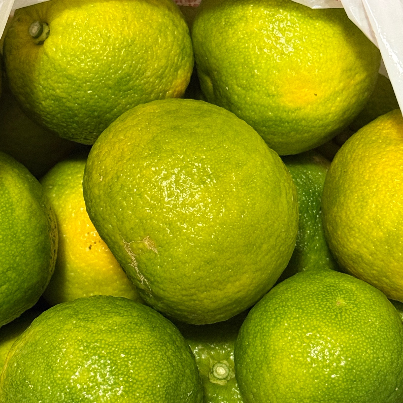 ぽお美's farm ⋈*ページ 176点まとめ売り ぽお美's farm（高知県