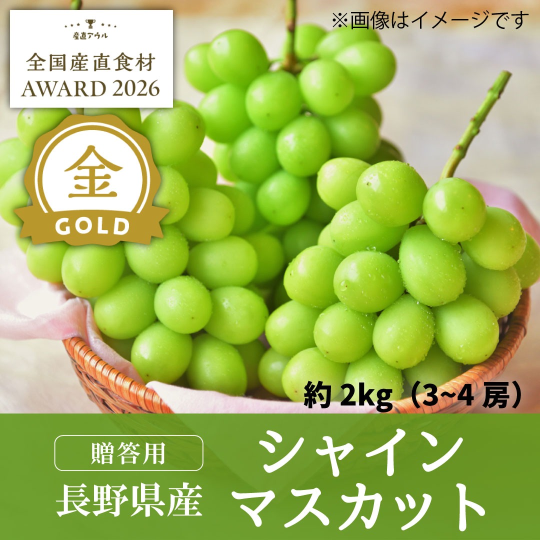 ガビチャン　シャインマスカット　2kg 贈答用シャインマスカット2kg（3～4房）【金賞受賞】／本気農場いけだ