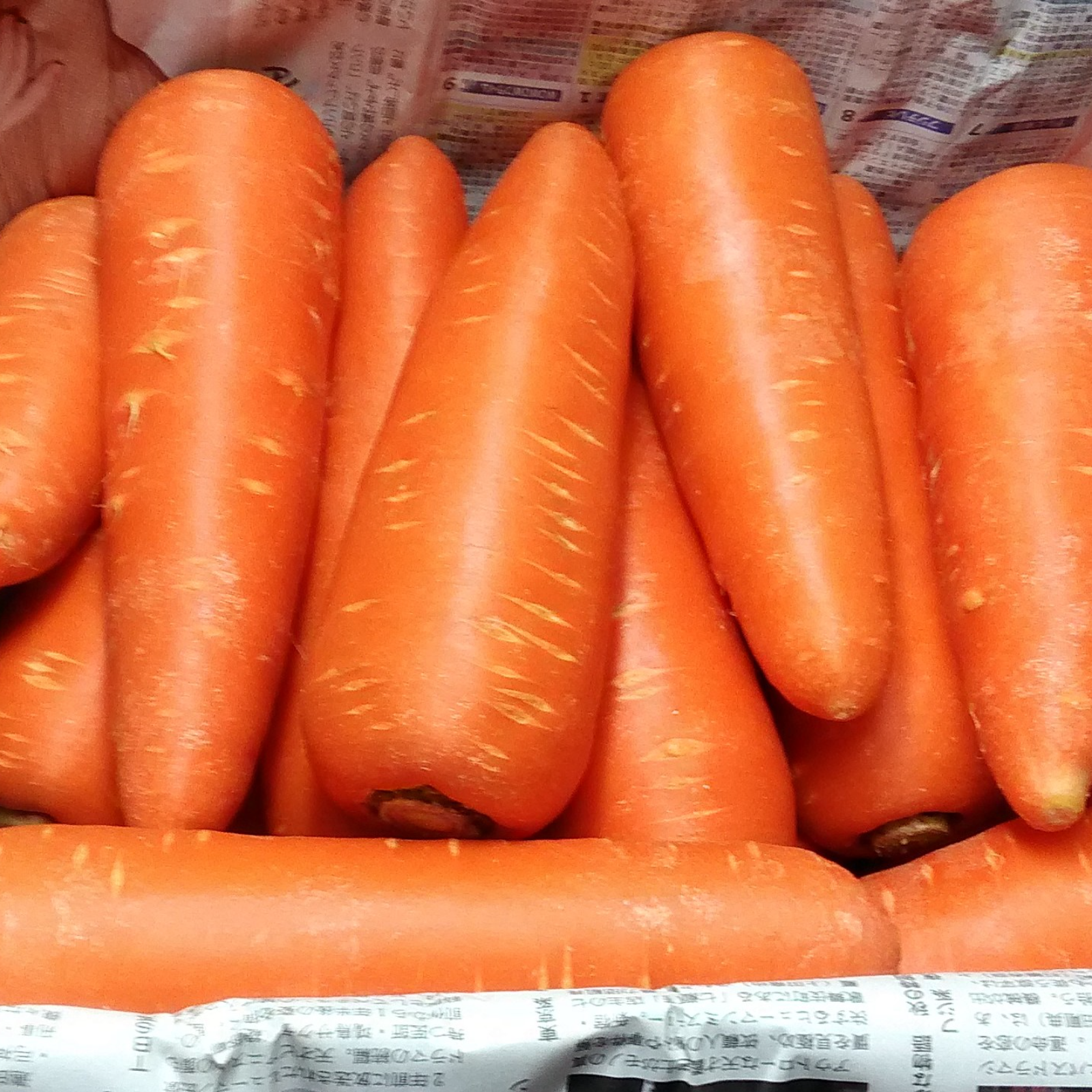 訳あり含む】無農薬で育った 洗いにんじん 大きさ色々 4.5kg 