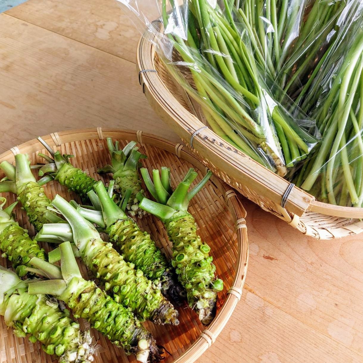 お試し】朝採れ 静岡県産 生わさびまるごとセット ｜ 野菜/野菜セット 