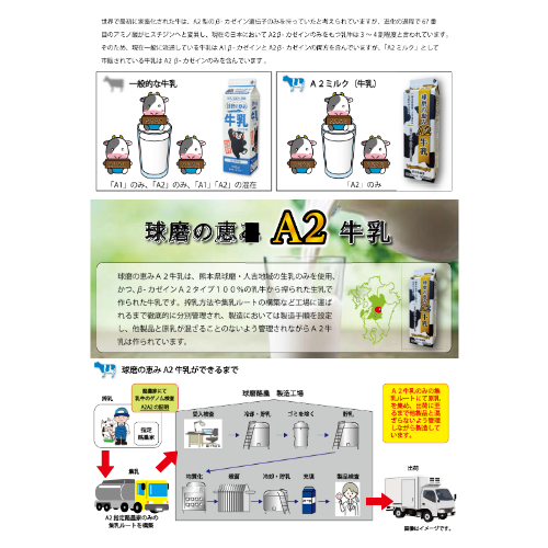 球磨の恵みA2牛乳 1,000mlx2パック | 乳製品/牛乳 産直アウル 農家