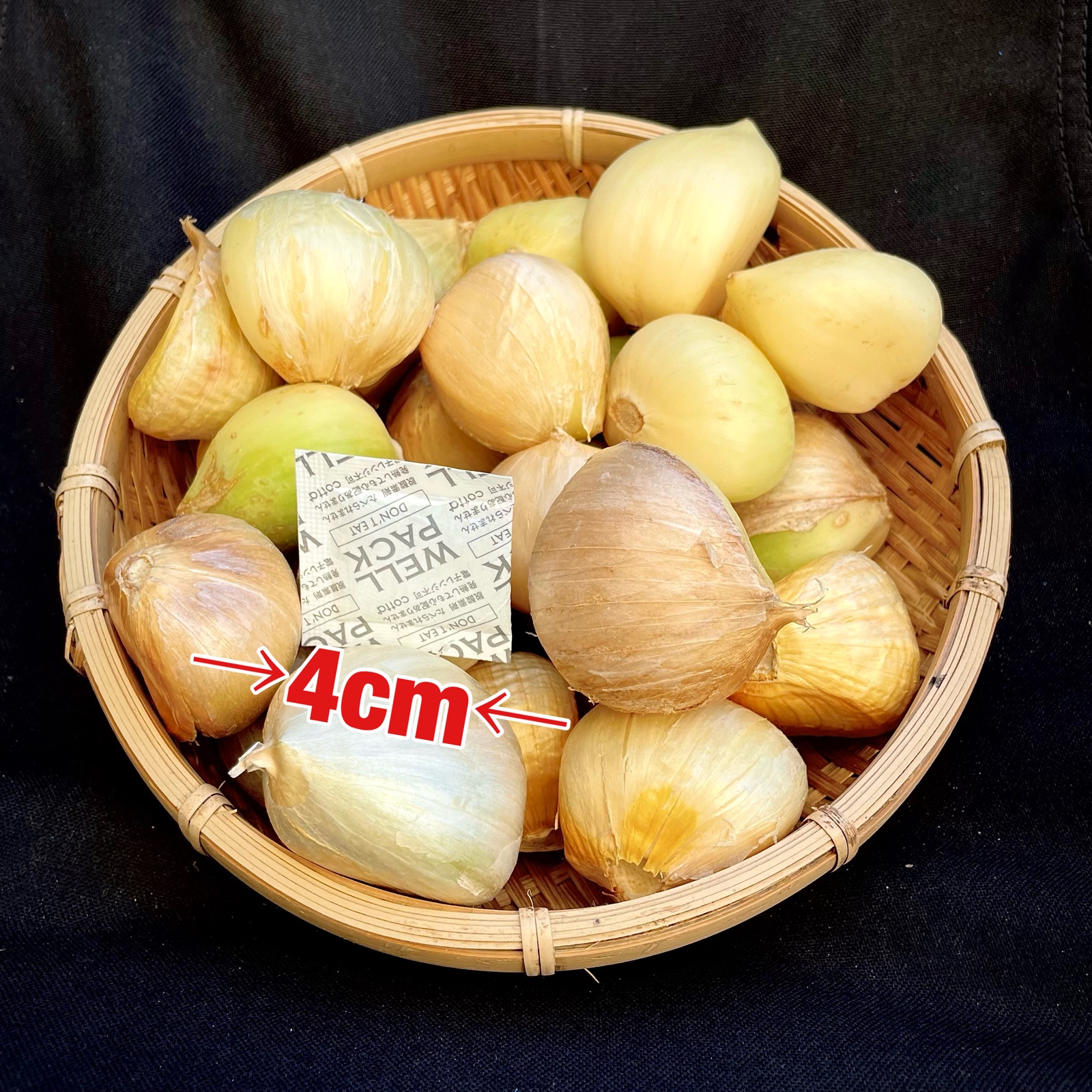 ジャンボにんにく 乾燥にんにく 訳あり ｜ 野菜/にんにく 産直アウル