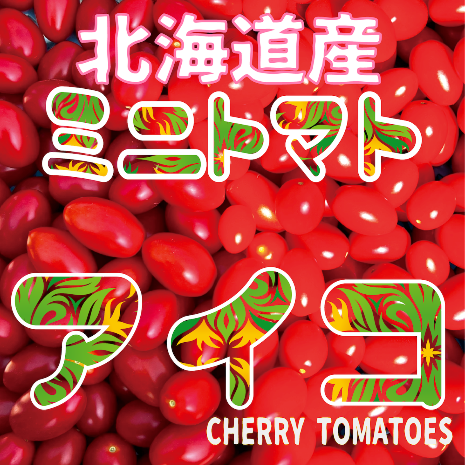北海道産 ミニトマト新鮮朝採り『アイコ』5kg(箱重量込み） ｜ 野菜