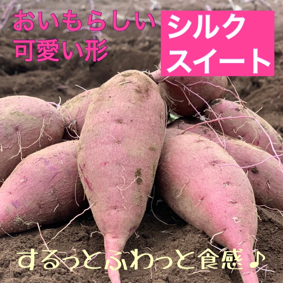 さつまいも紅はるか S20本＆シルクスイート1kg セット ｜ 野菜
