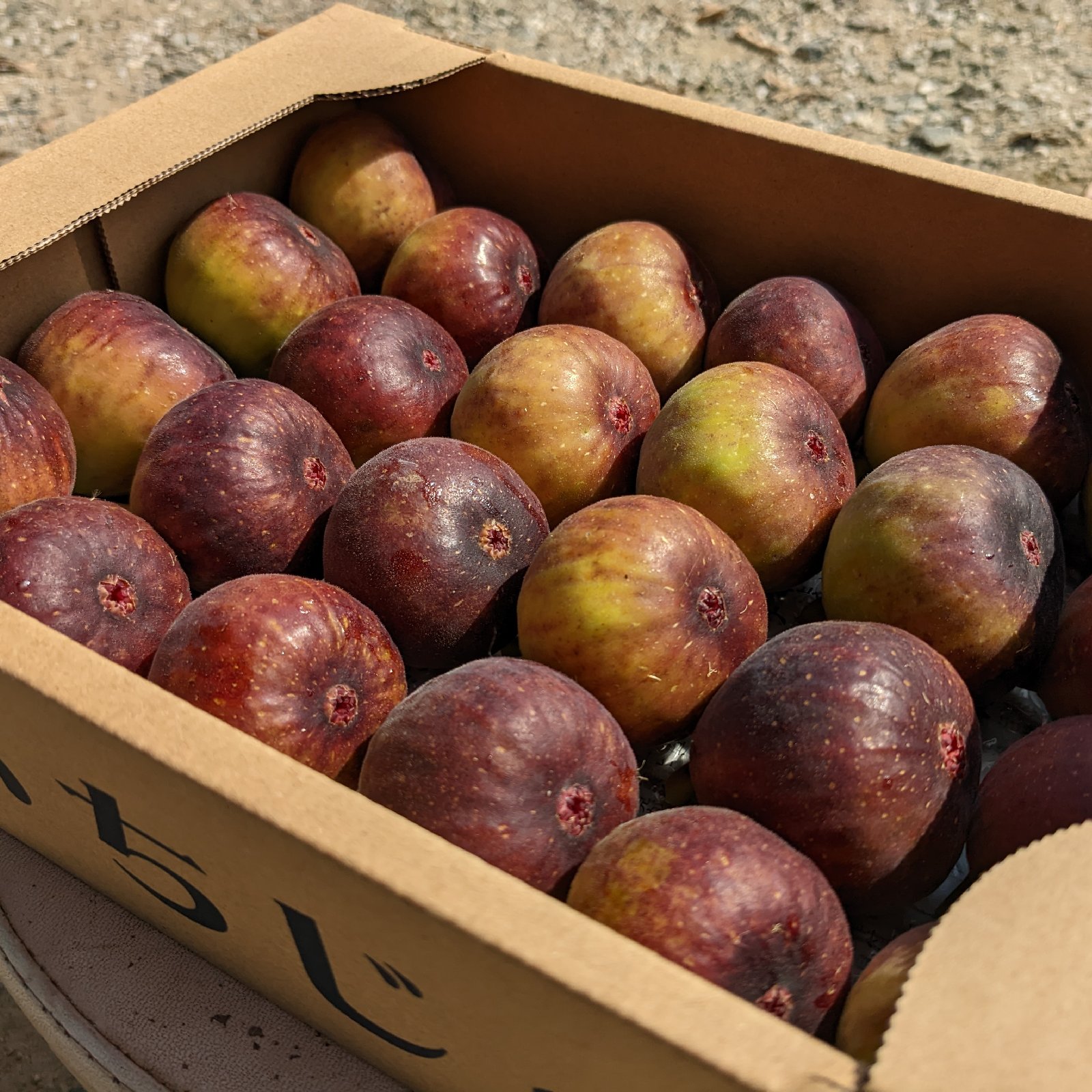 小さな自然農園 にゃんモコ（福岡県・嘉麻市）｜生産者詳細｜産直アウル