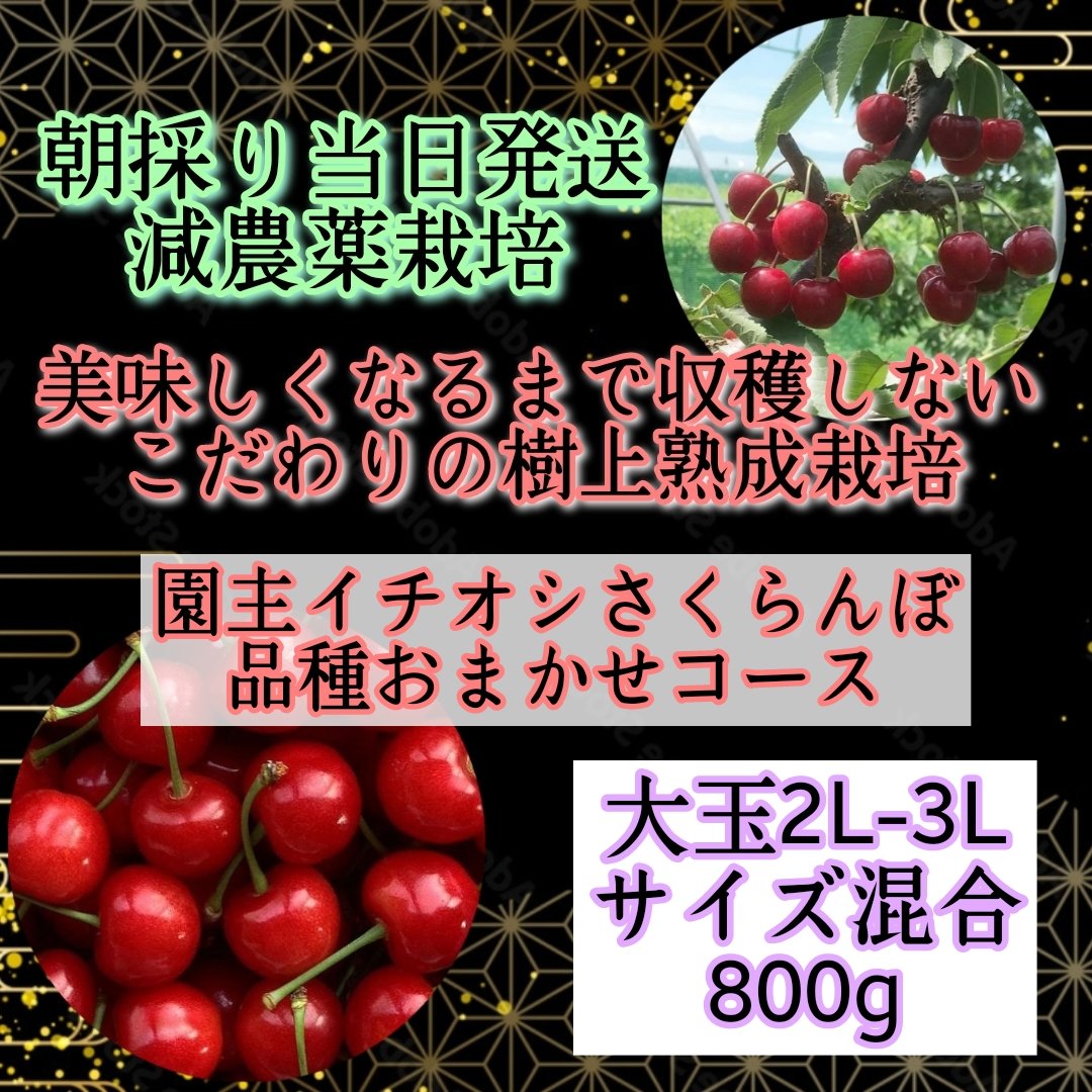 完売！先着順！サクランボ　農園用　ハチの巣 image2.jpeg