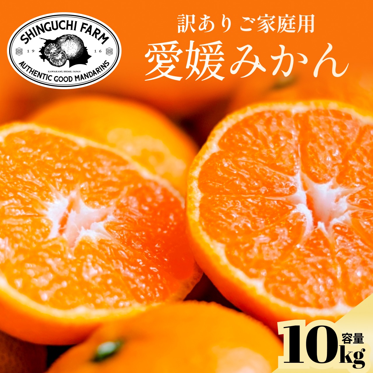 訳ありだけど美味しさそのまま】愛媛みかん 10kg 愛媛県川上産 | 果物