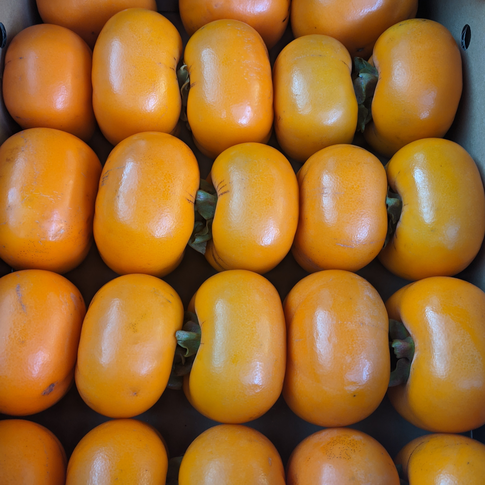 秋の味覚‼ 家庭用種なし柿 約4kg(20個前後入り) 果物/柿 産直アウル 農家から直接野菜などの食材を購入できる産地直送の宅配通販サイト 秋の味覚‼ 家庭用種なし柿 約4kg(20個前後入り) 果物/柿 産直アウル 農家から直接野菜などの食材を購入できる産地直送の宅配通販サイト