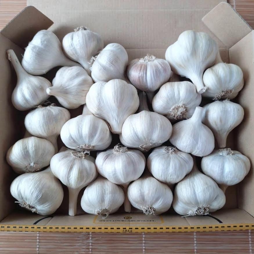 農薬化学肥料不使用】里山の平戸ニンニク昔ながらの自然乾燥1kg