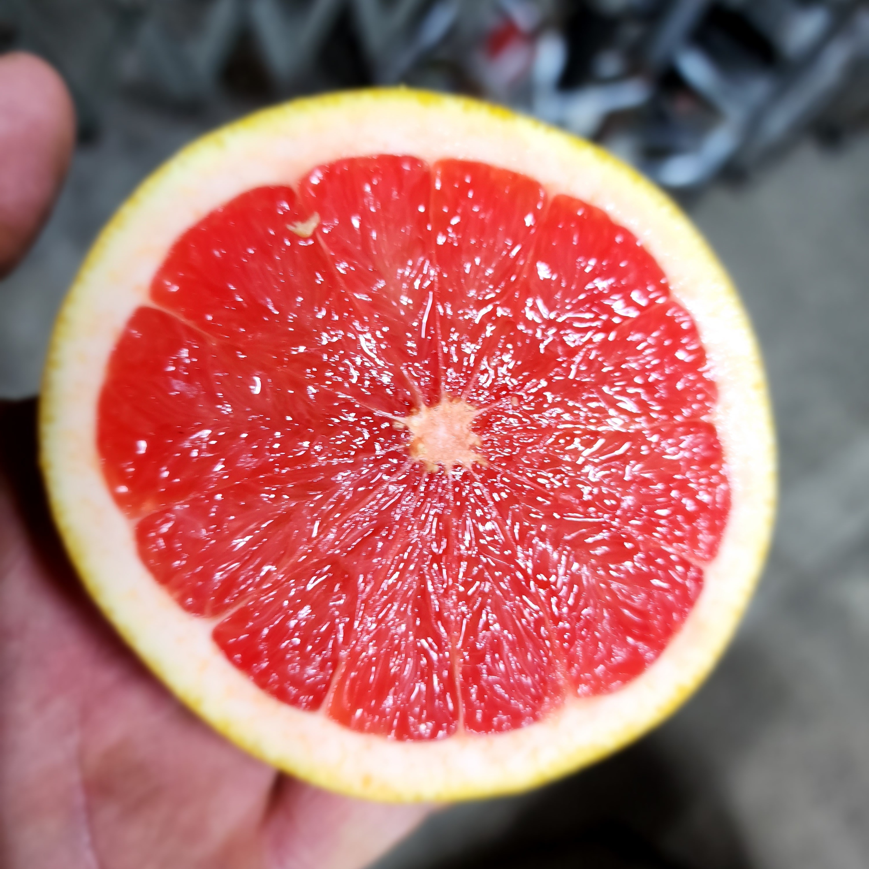 ピンクグレープフルーツ　カントク　版画　アールビバン 83000301.jpg