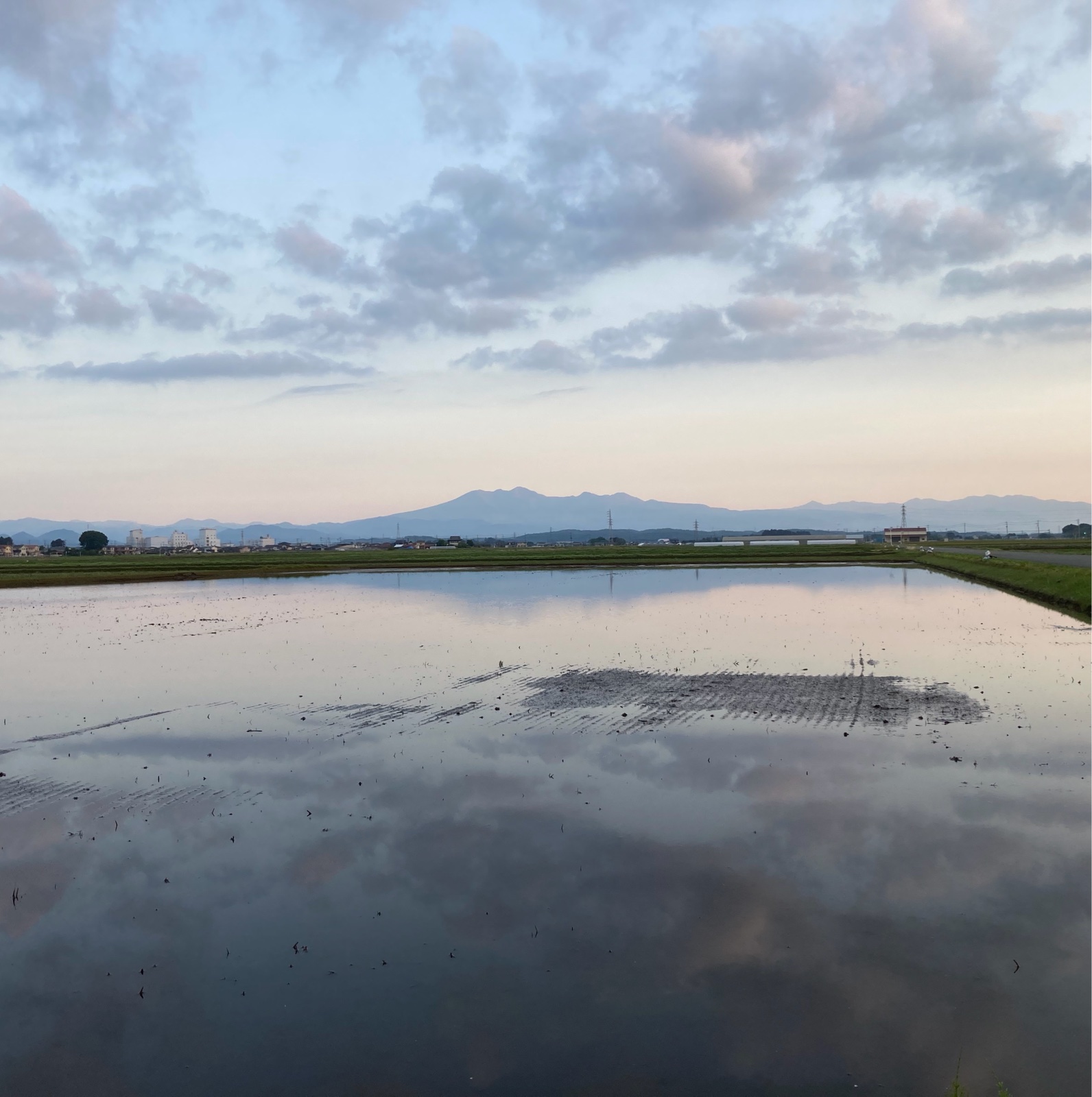 栃木県産鬼怒川水系コシヒカリ玄米30kg ｜ 米・穀物/玄米 産直アウル