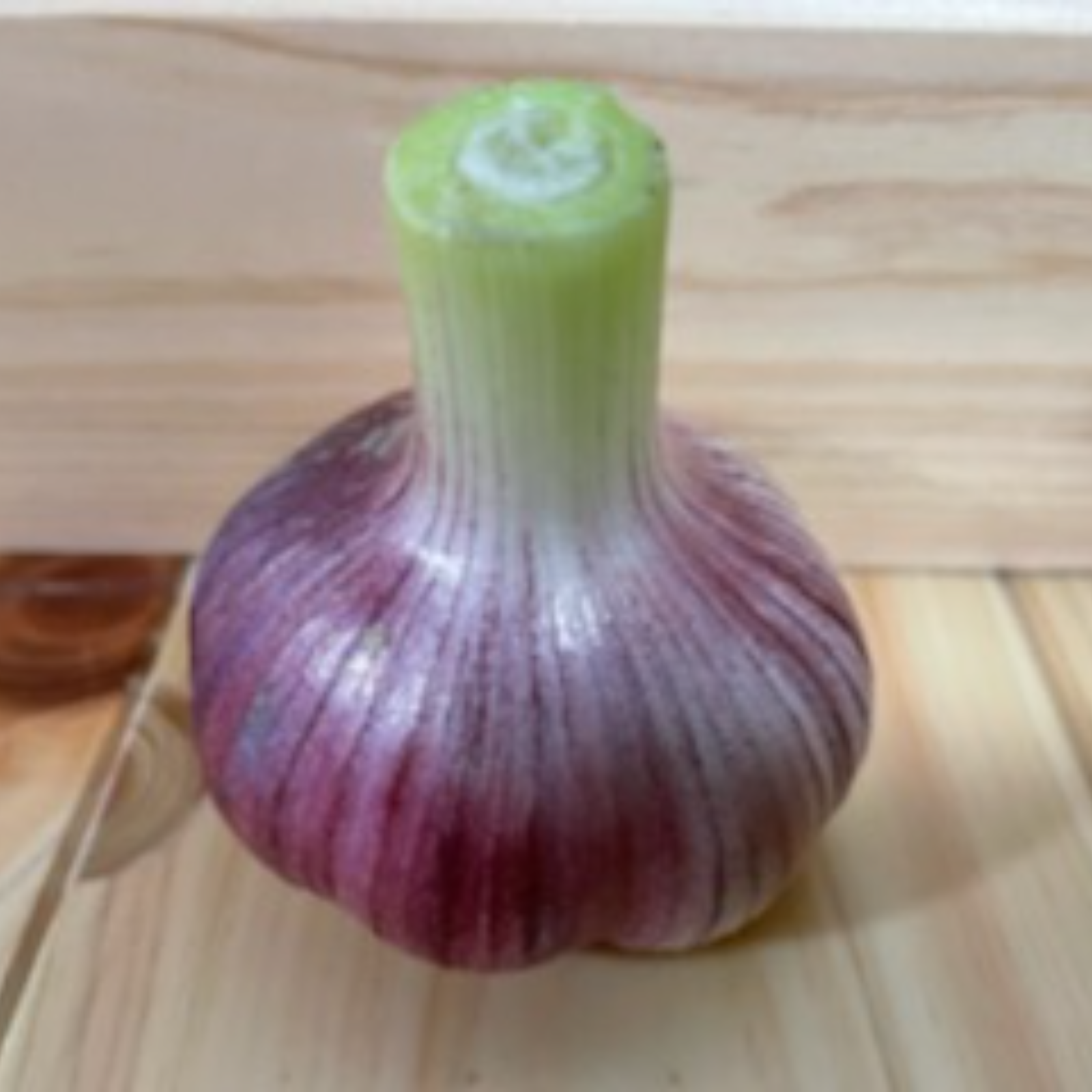 訳あり）無農薬高知県在来種土佐にんにく乾燥 約1キロ | 野菜/にんにく