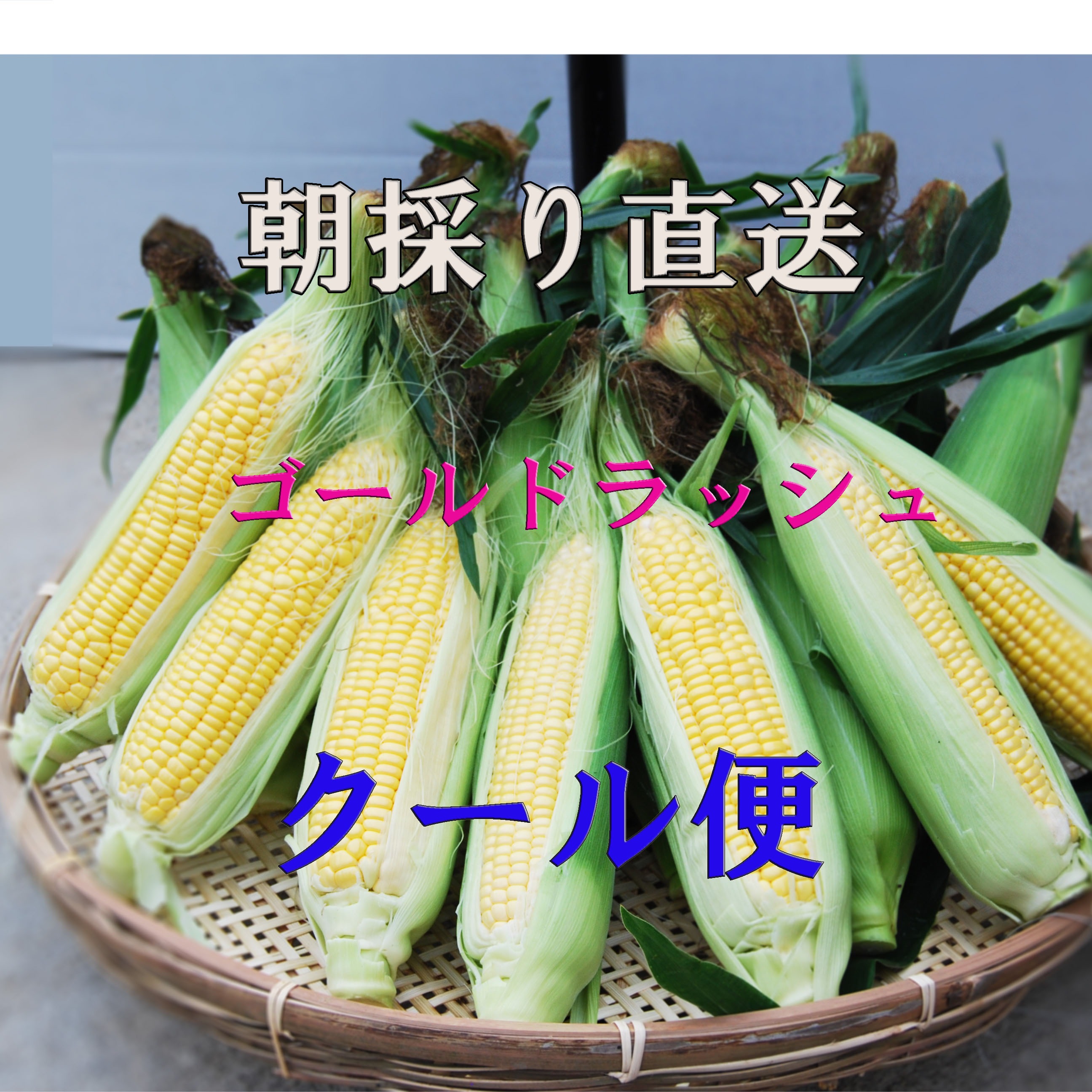 クール便！魅惑のコーン♥ゴールドラッシュ！9本LL | 野菜