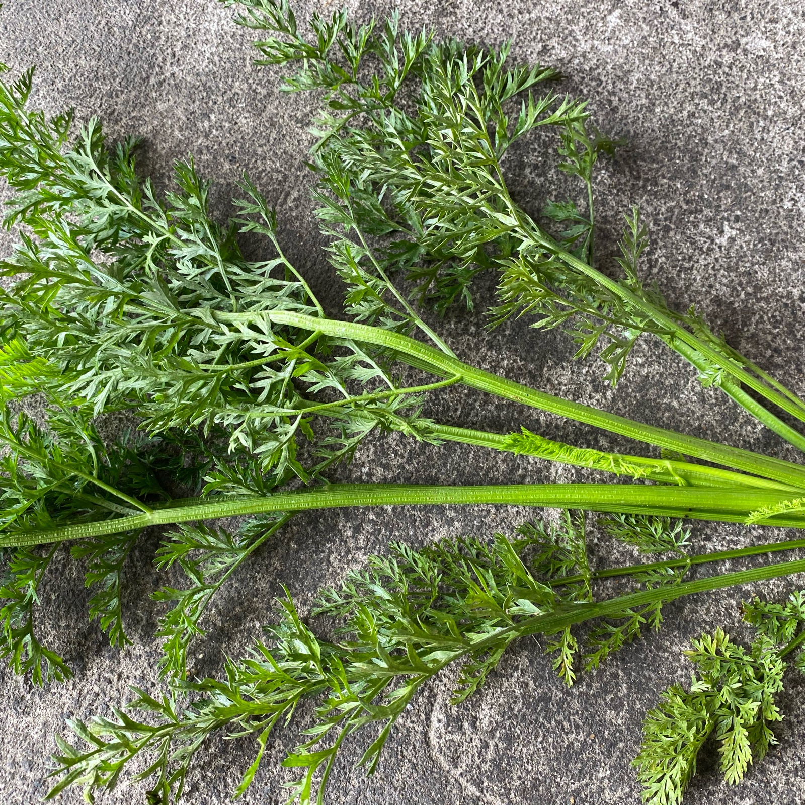 648e6d2ba764acba2862b0223a122d