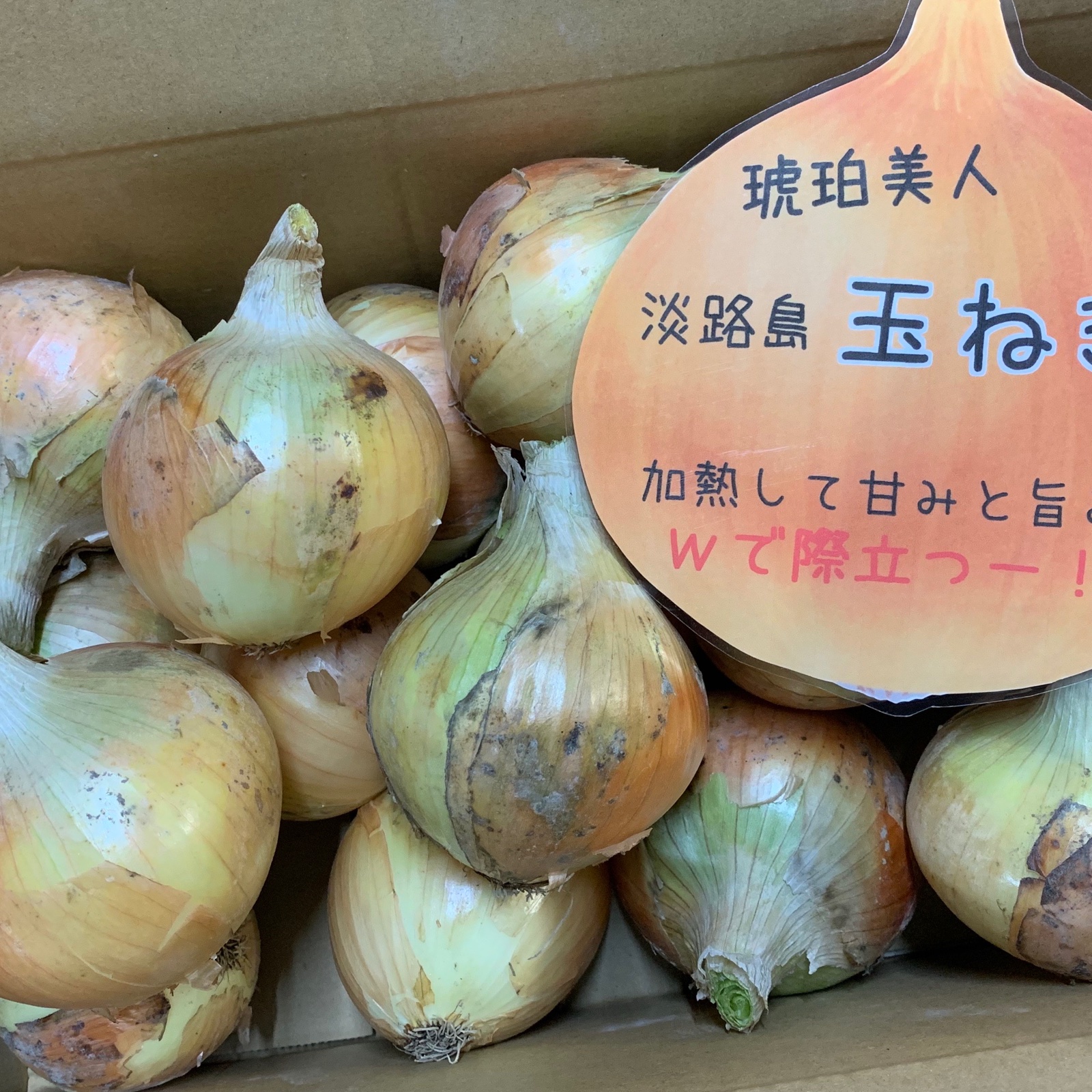 淡路島極熟玉葱4kg🧅 玉ねぎ大国淡路島からの玉ねぎ ｜ 野菜/玉ねぎ