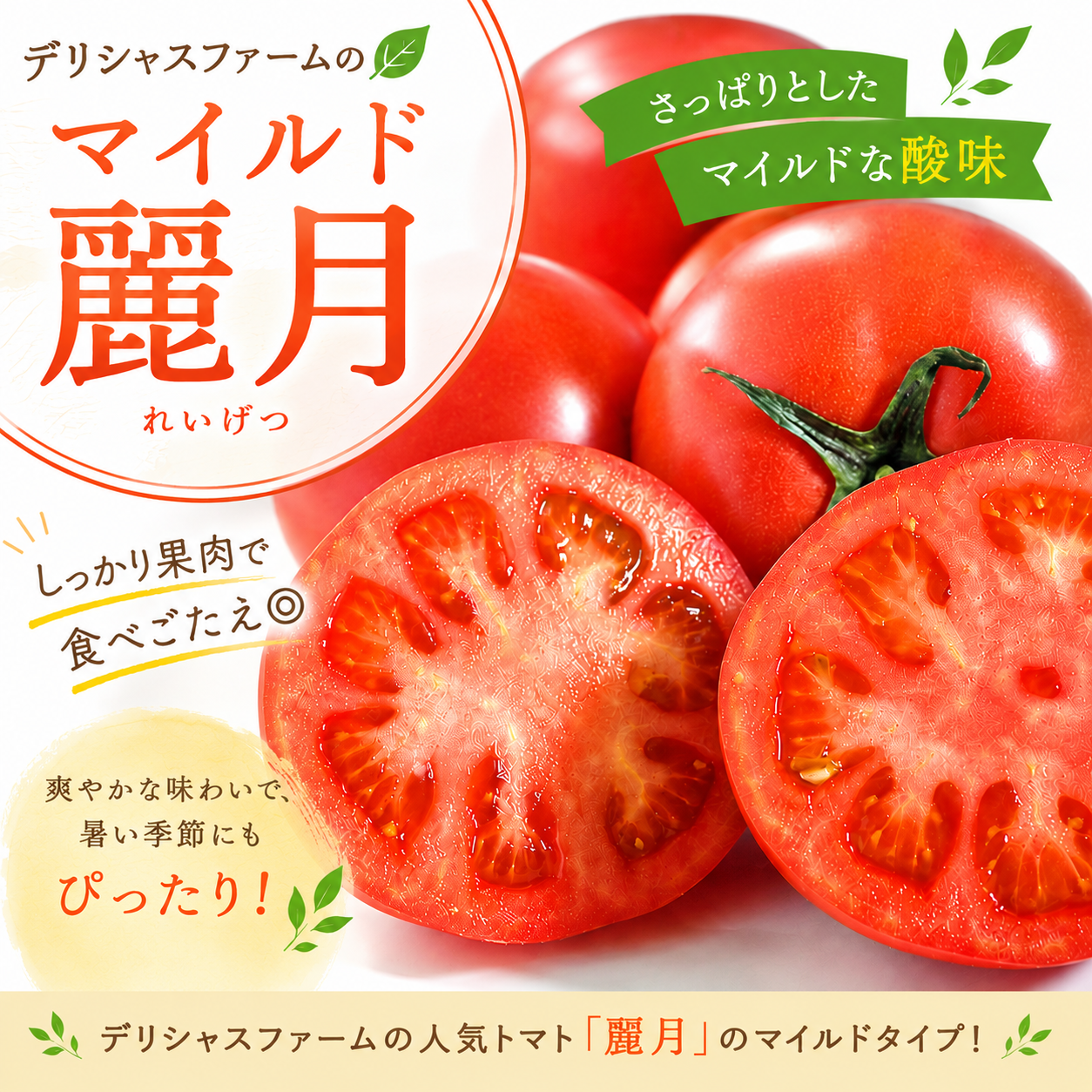 糖度5.5～6.9度】マイルド麗月4キロ箱 ｜ 野菜/トマト 産直アウル 農家