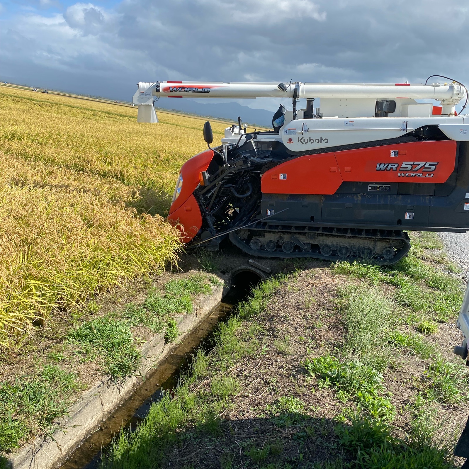 青森県産 はれわたり玄米10キロ | 米・穀物/玄米 産直アウル 農家から