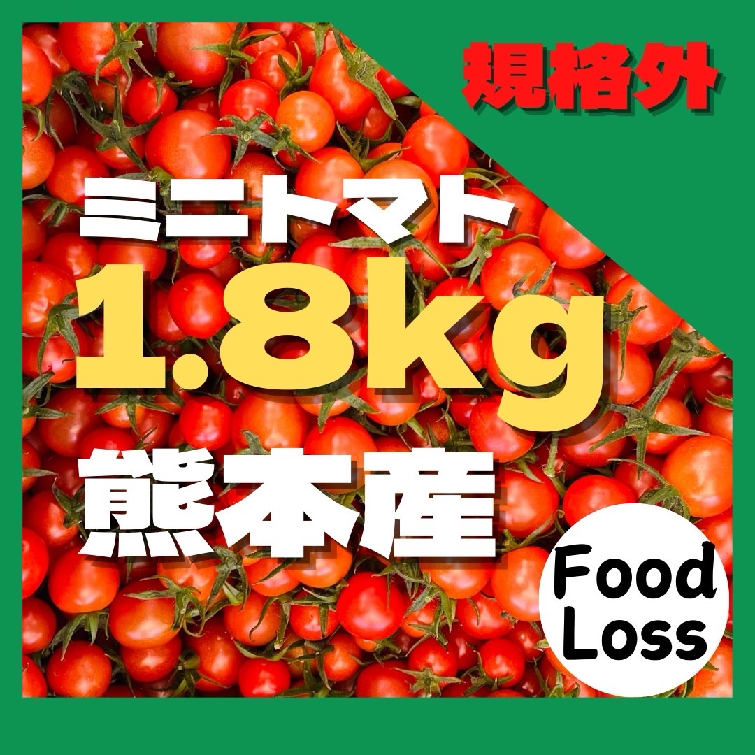 ミニトマト 1.8キロ フードロス 規格外 野菜 熊本産 訳あり 安い