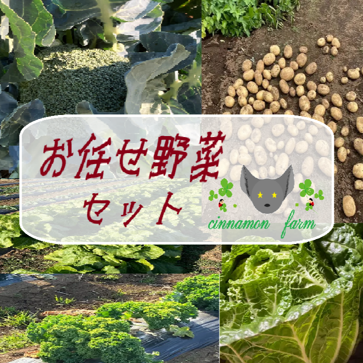 お任せ野菜セット | 野菜/野菜セット・詰め合わせ 産直アウル 農家から
