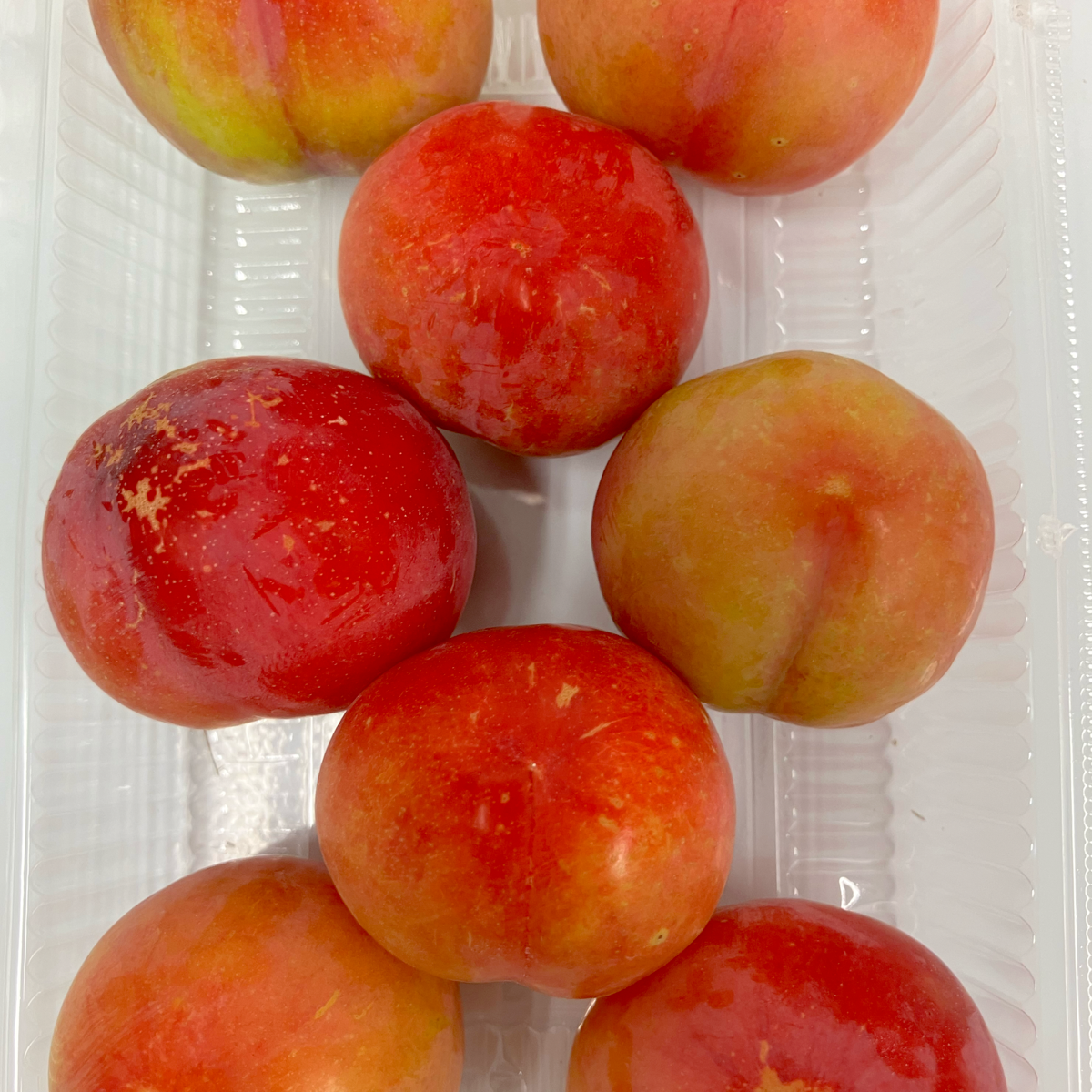 10kg すもも プラム 鹿児島県産
