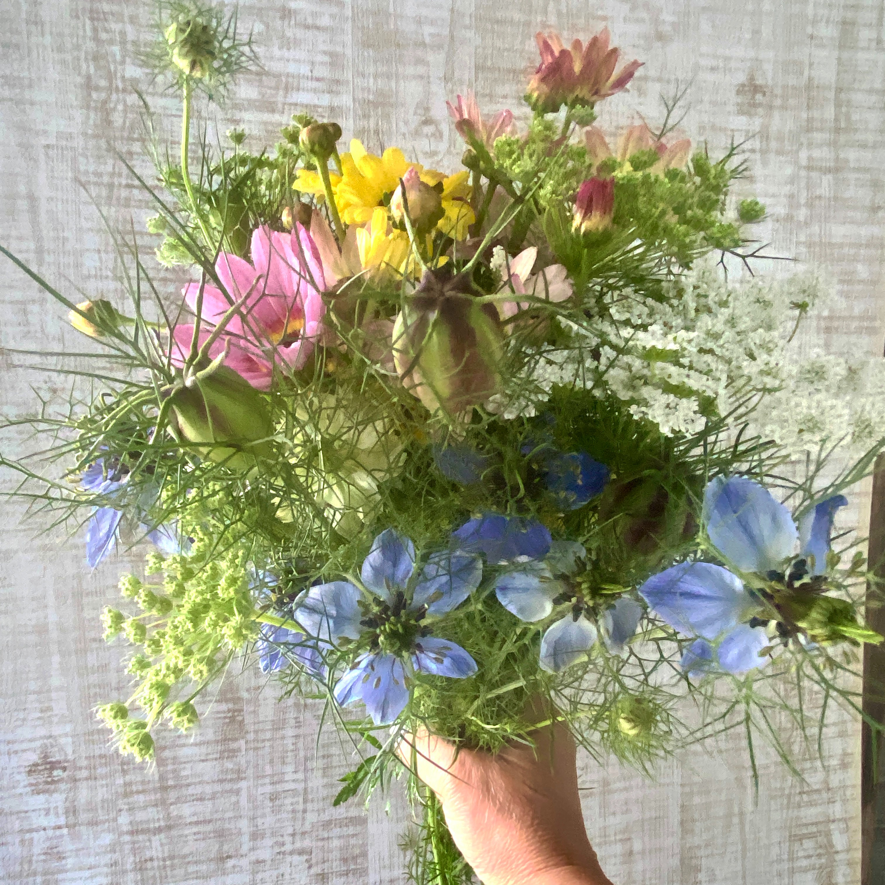 モリモリお任せ20本以上】田舎のフラワーガーデンに咲いている旬のお花 