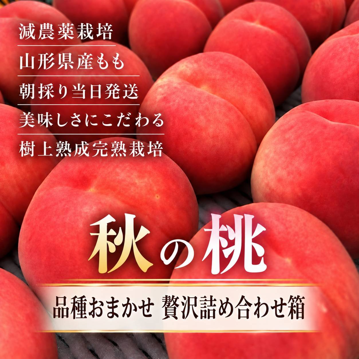 まだまだ続く桃シーズン【秋の桃贅沢詰め合わせ箱】 ｜ 果物/もも 産直