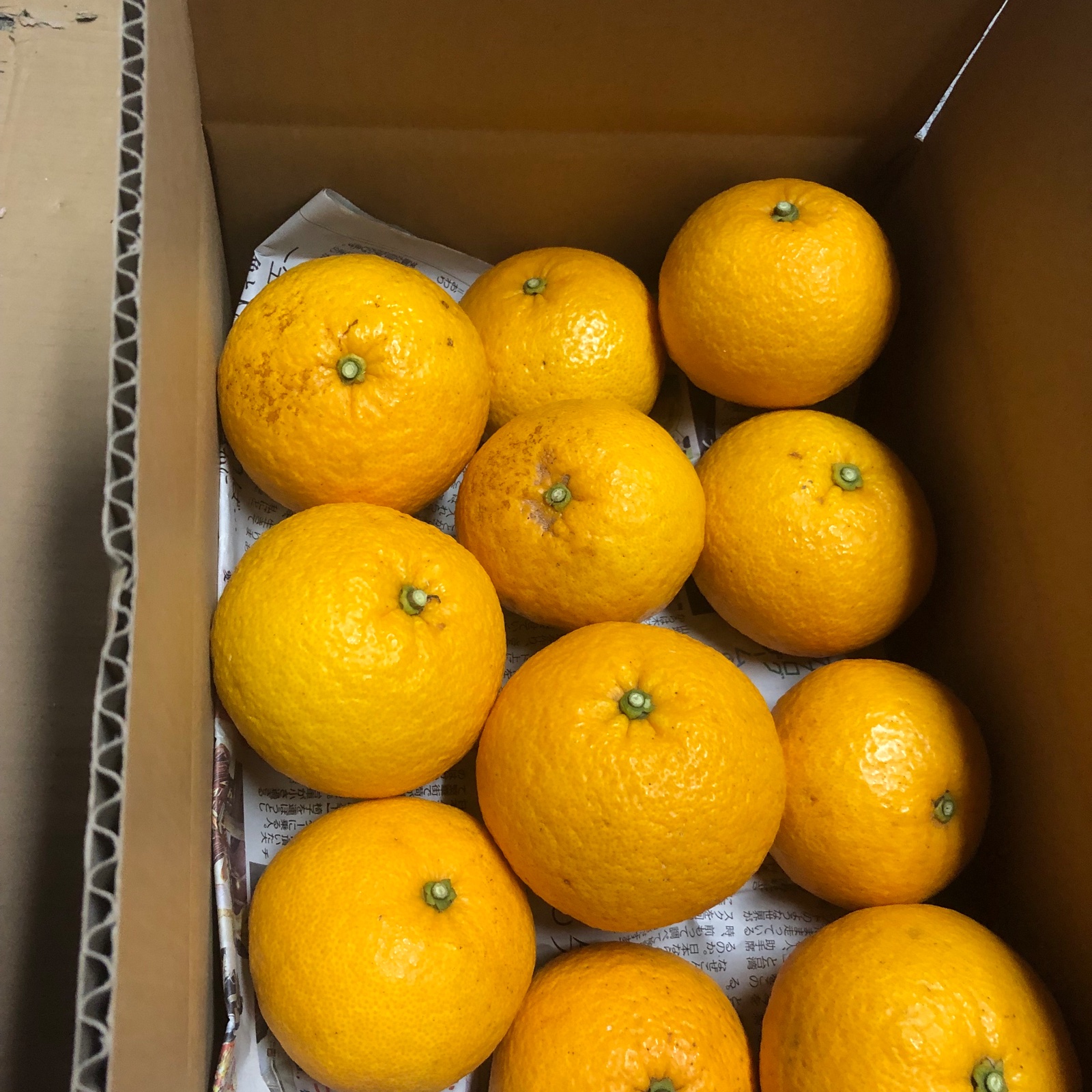 6569e3d50208a35eadd1fa35895a6e