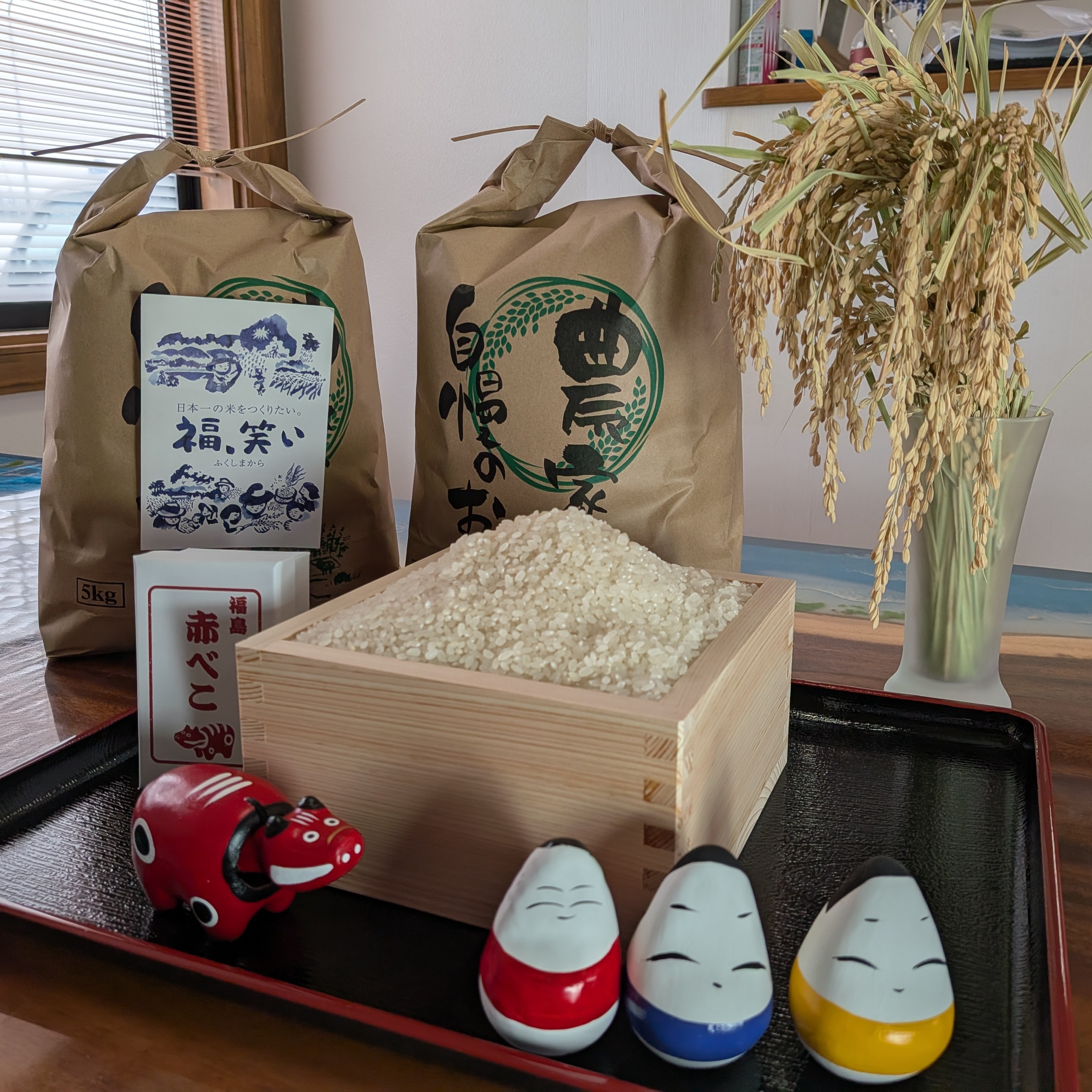 茨城県産　お米　米　玄米 約25kg 令和7年 令和7年産 会津米 コシヒカリ 玄米 25kg ｜ 米・穀物/玄米 産直