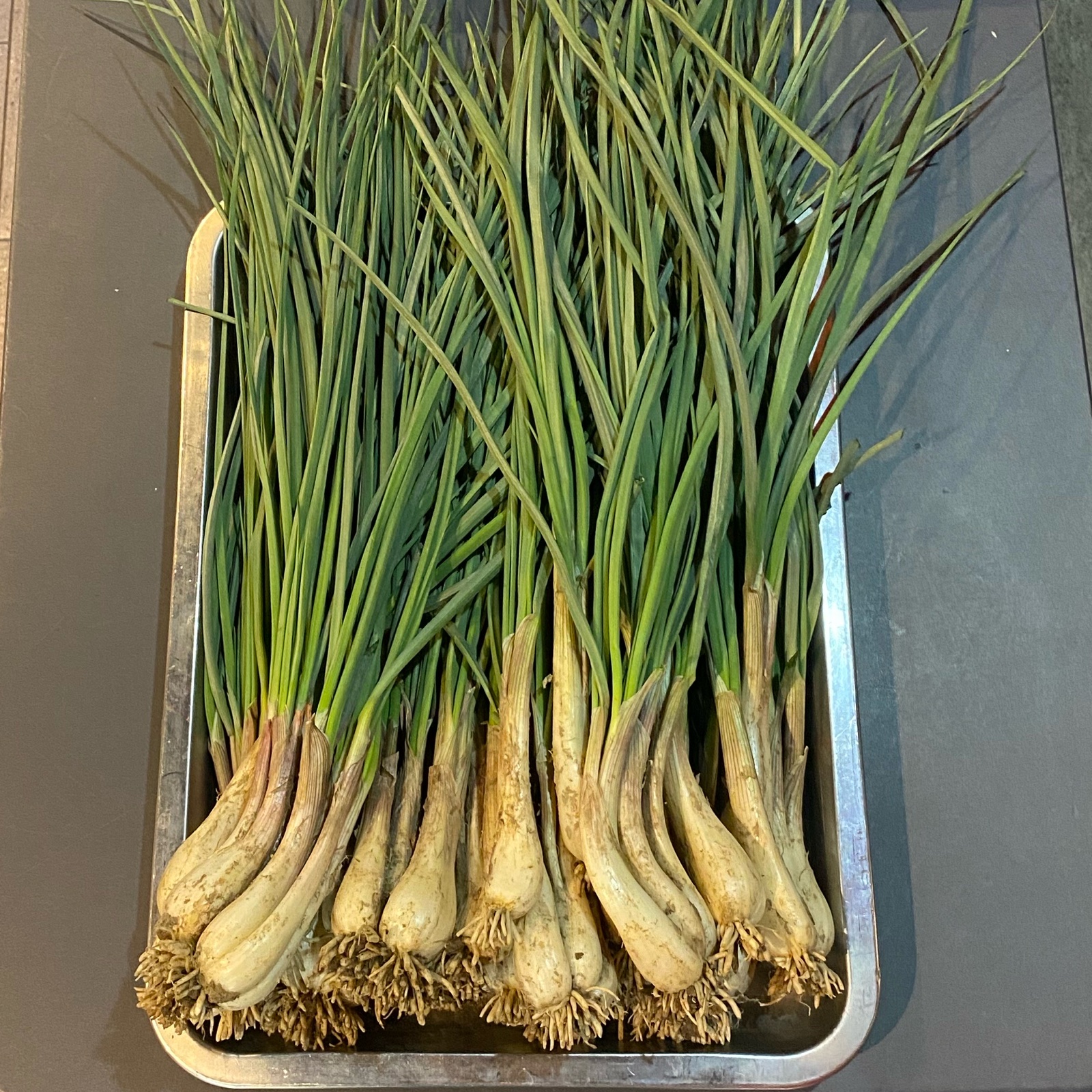 旬！シャキシャキ朝採れ 島らっきょう ｜ 野菜/薬味 産直アウル 農家 