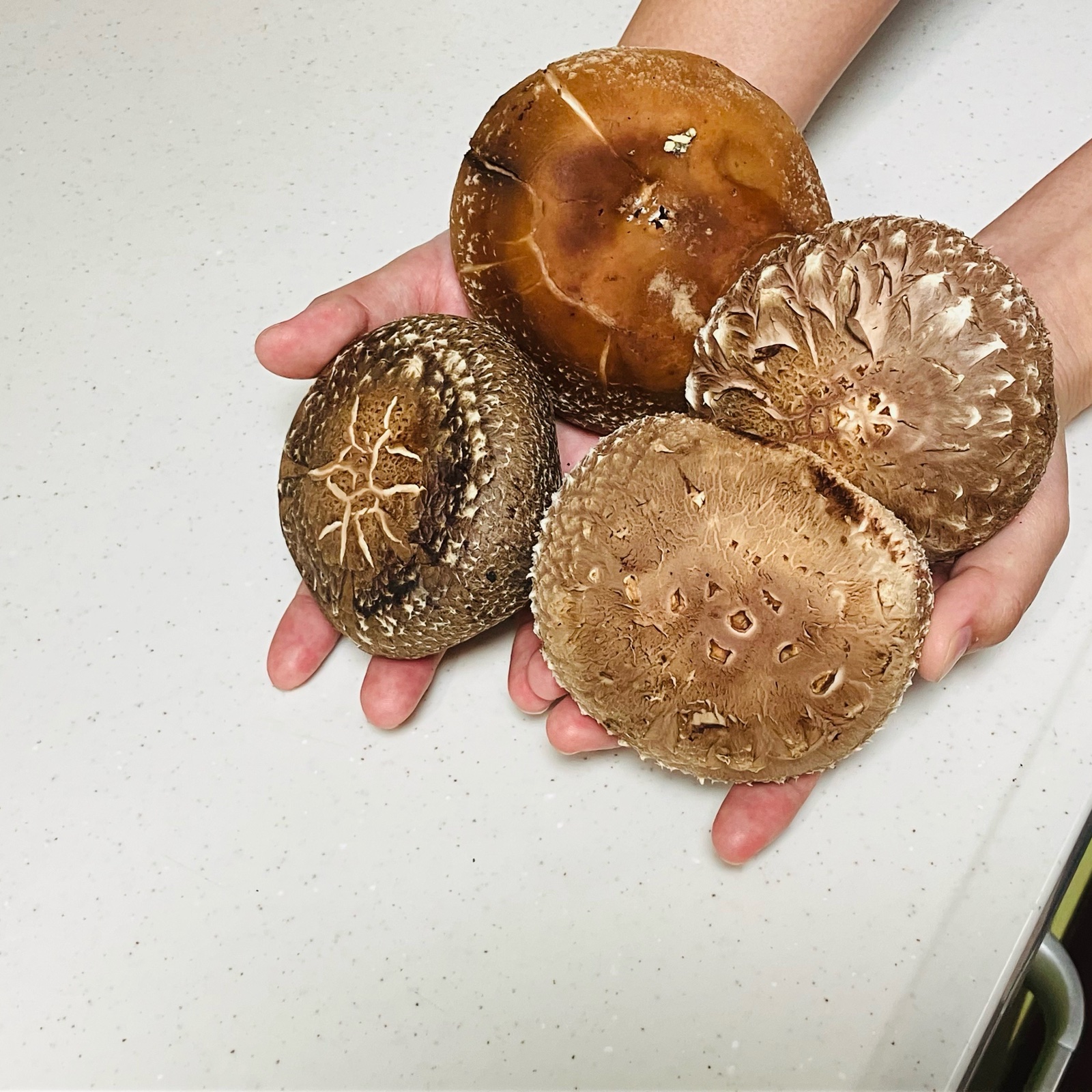 新鮮 椎茸 248g 大きめ