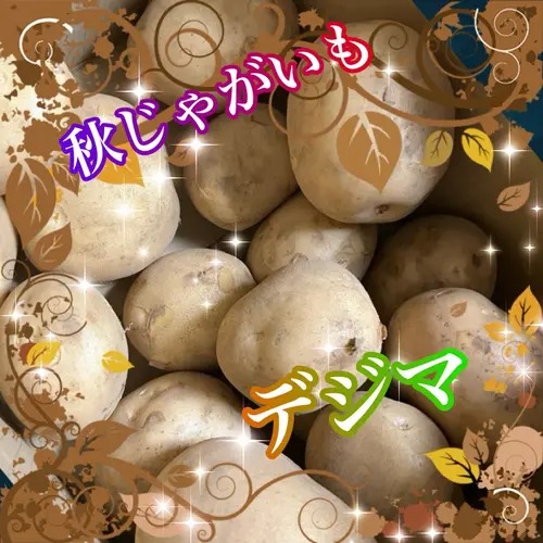 ウデジマン　120枚セット 白菜(オレンジクイーン）、秋じゃがいも（デジマ）セット | 野菜/野菜